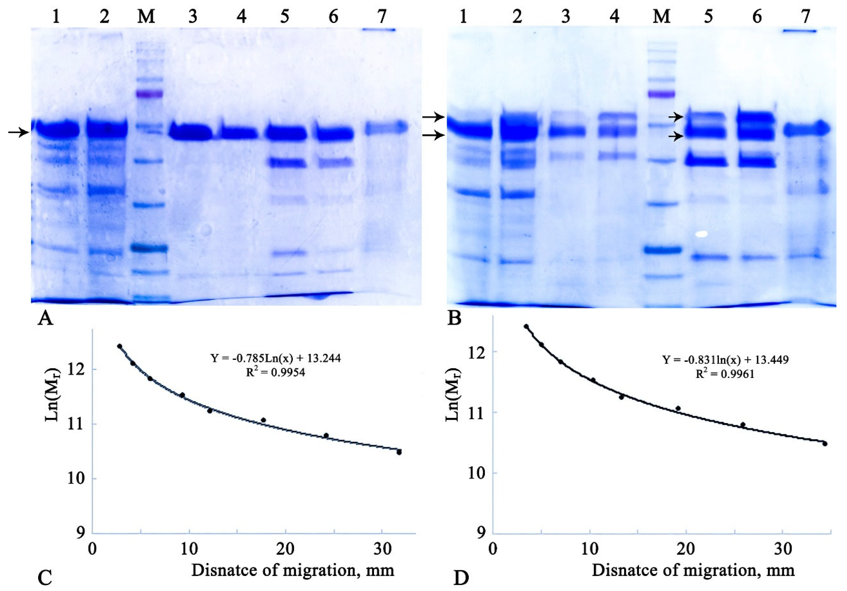 Preprints 114135 g001