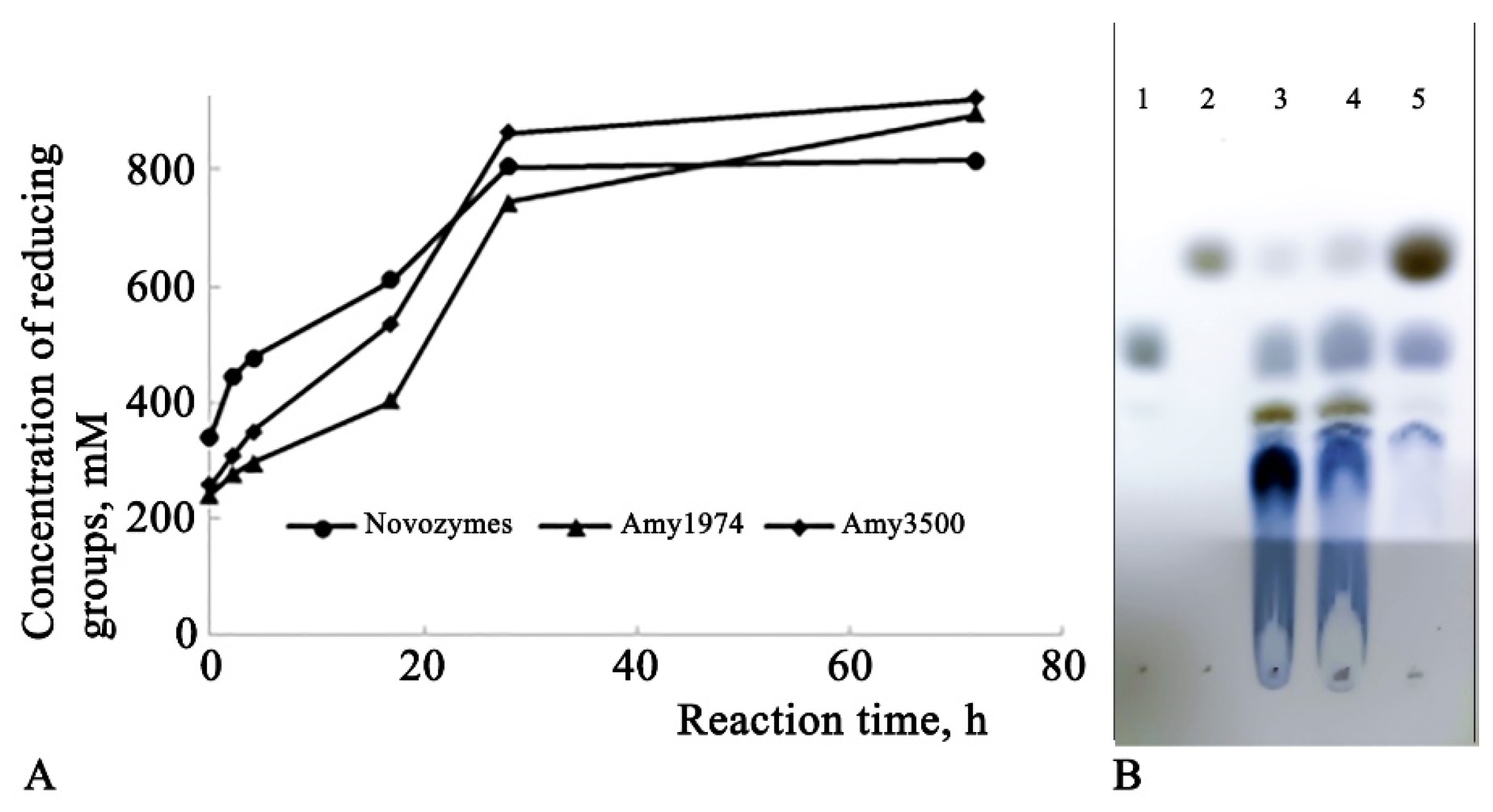 Preprints 114135 g004