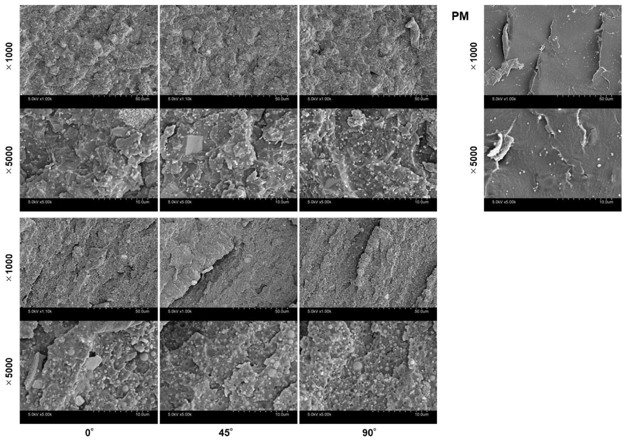 Preprints 211511 g008