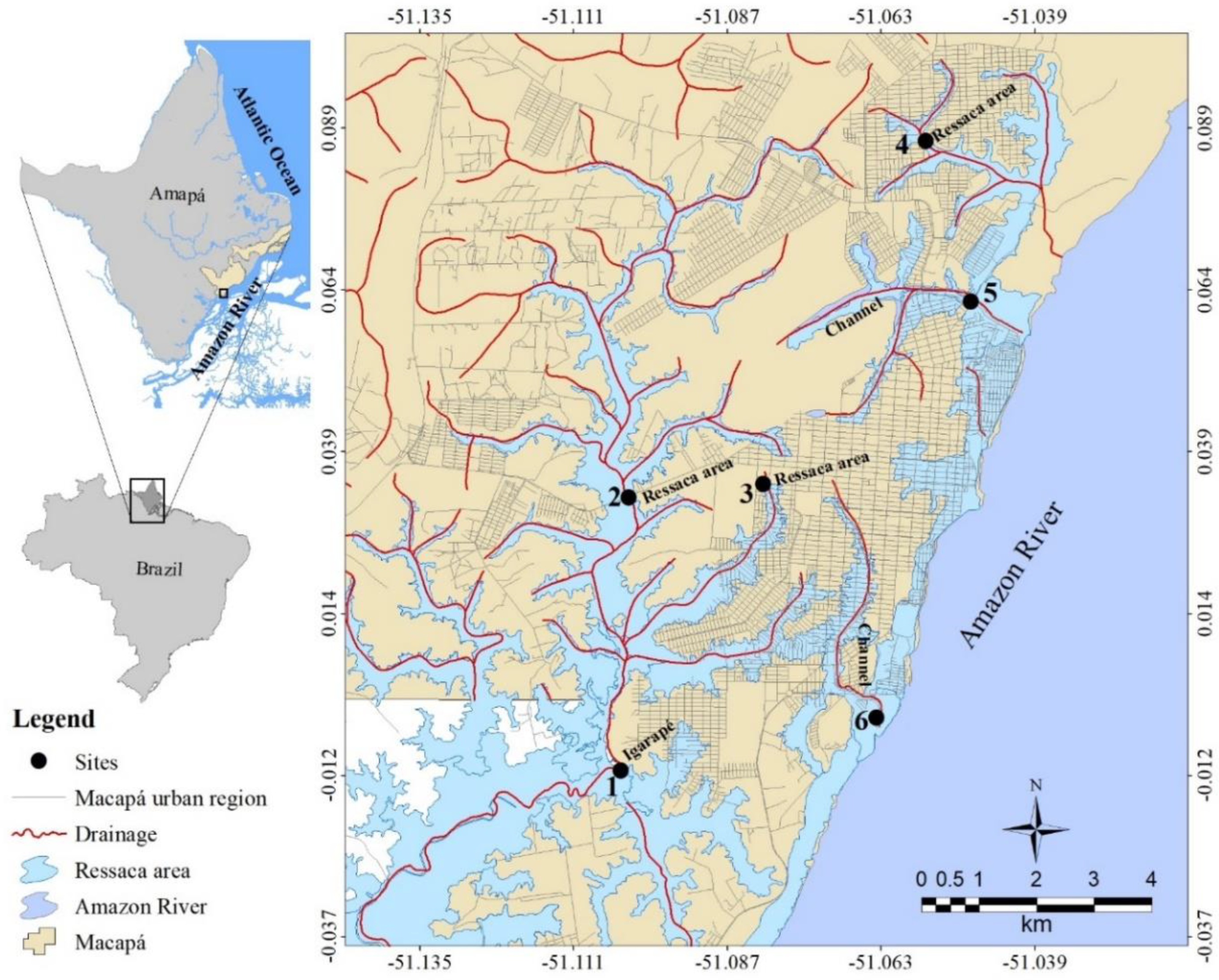 Preprints 141983 g001