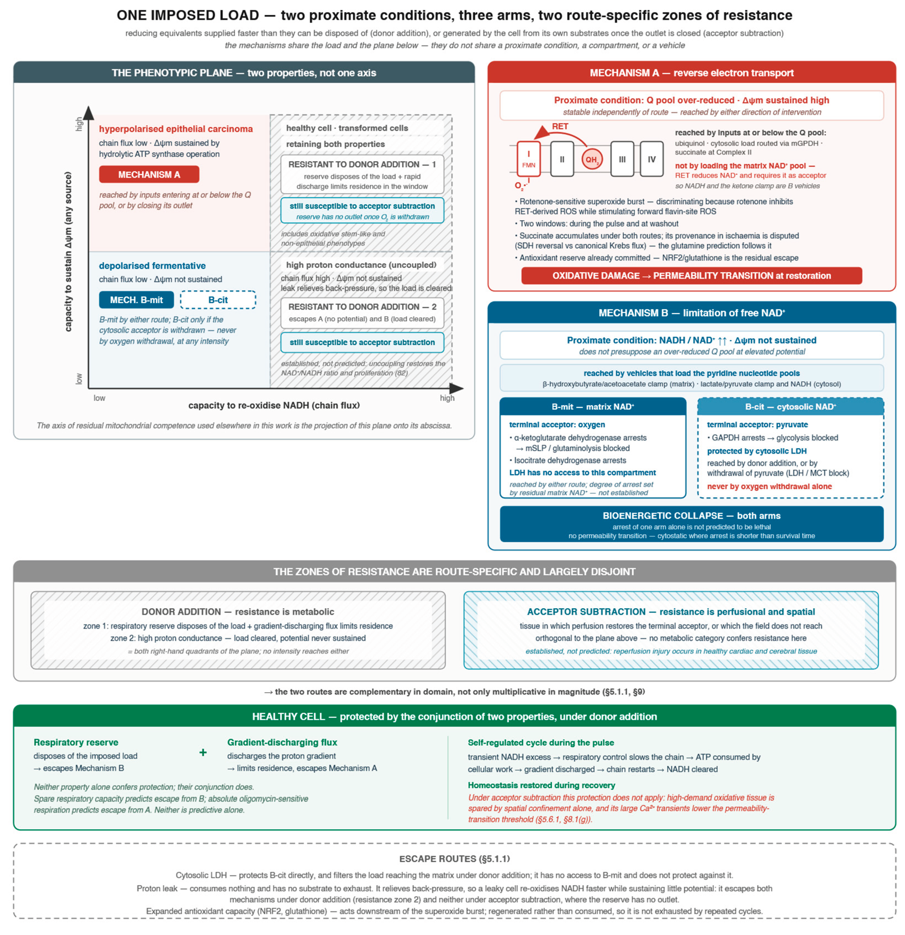 Preprints 236071 g001 Preprints 236071 g001