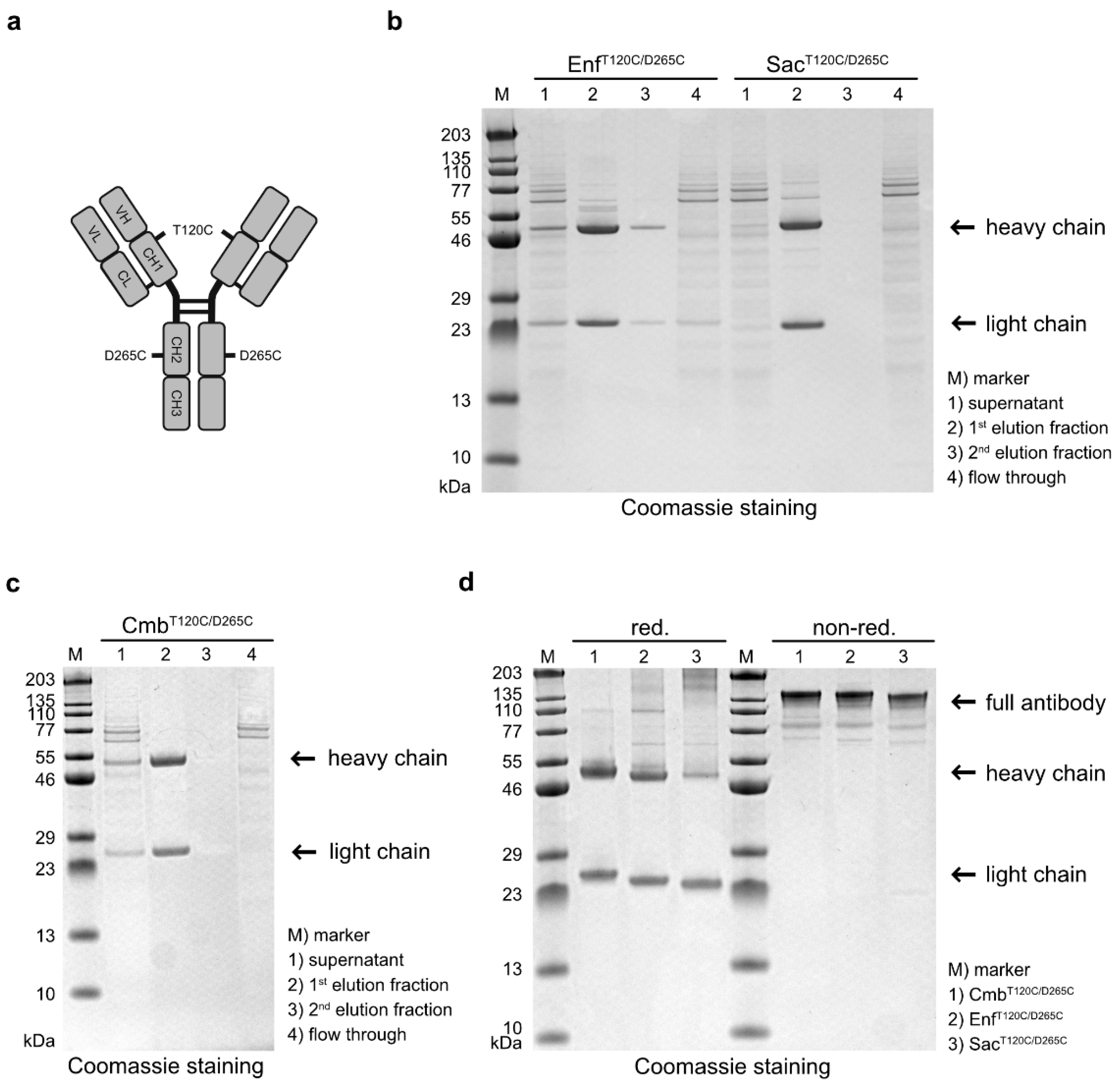 Preprints 182786 g001