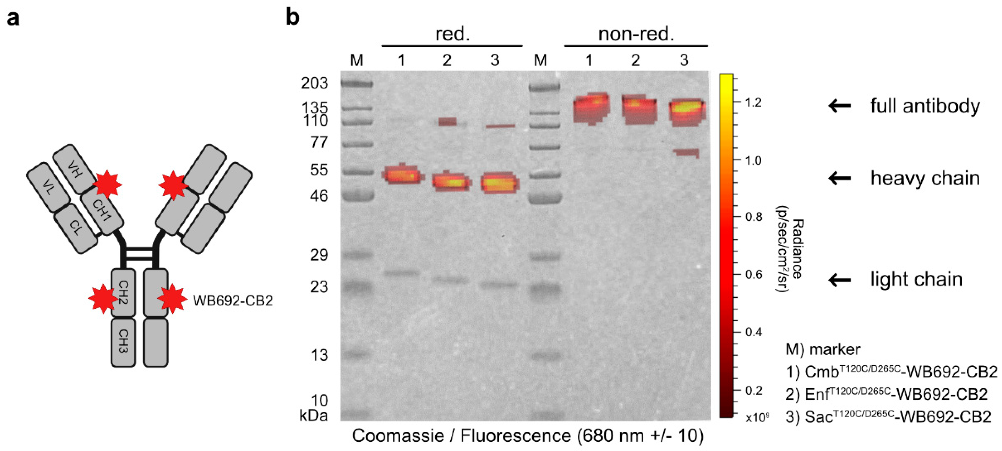 Preprints 182786 g002