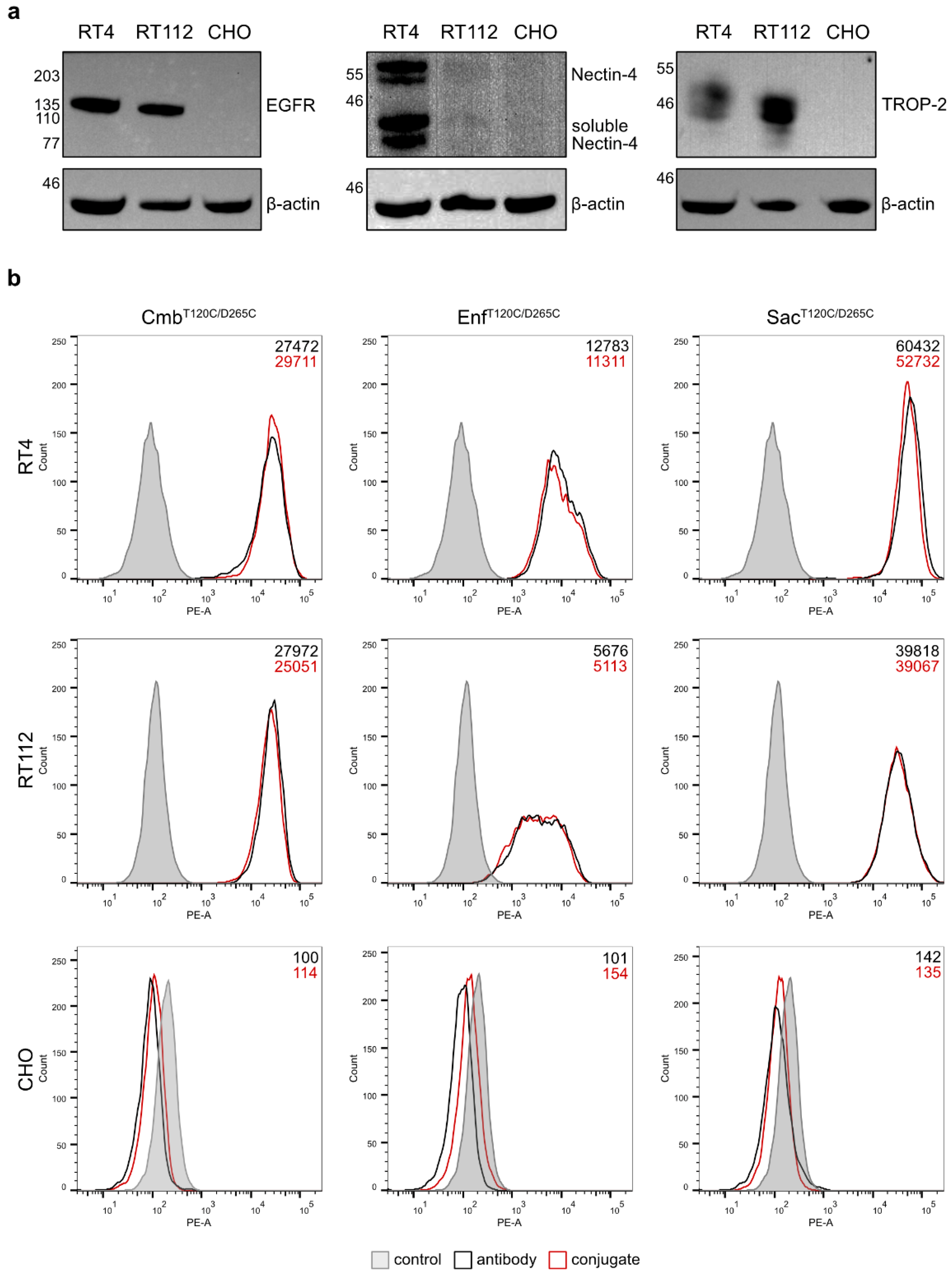 Preprints 182786 g003
