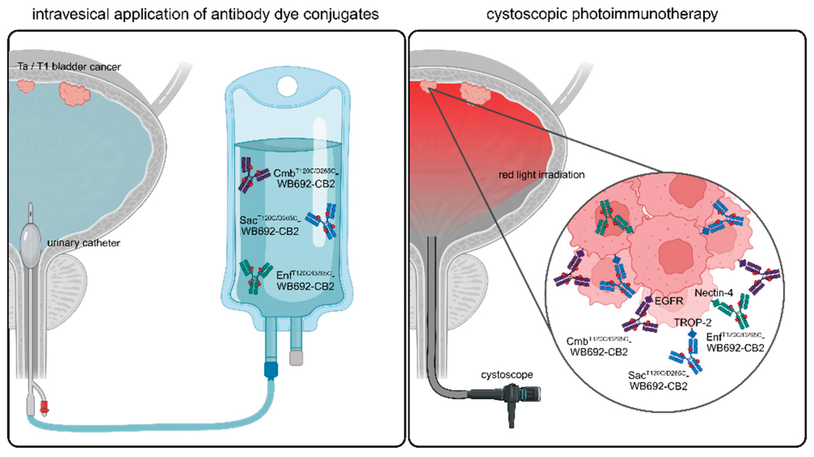 Preprints 182786 g006