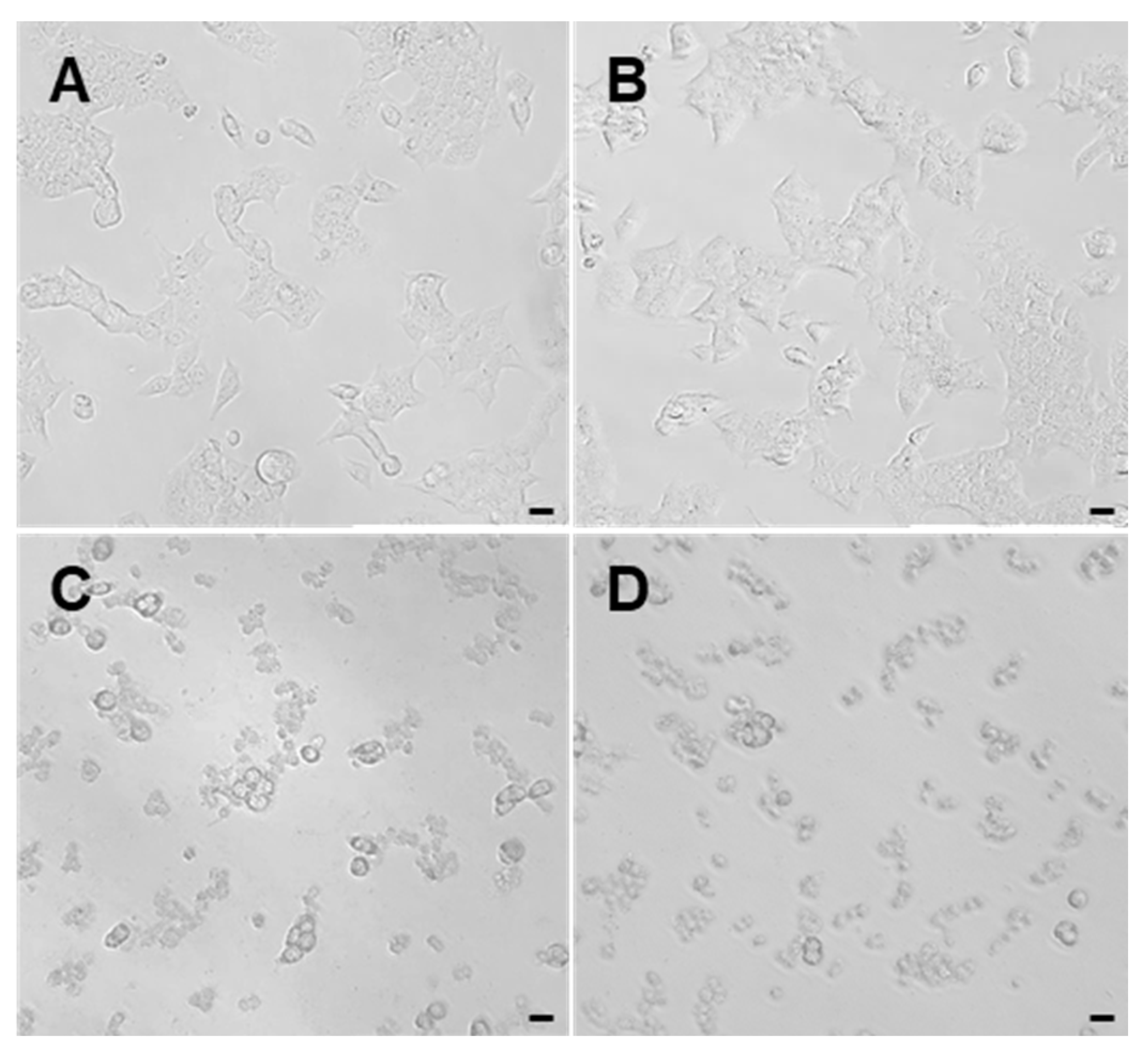 Preprints 177532 g005