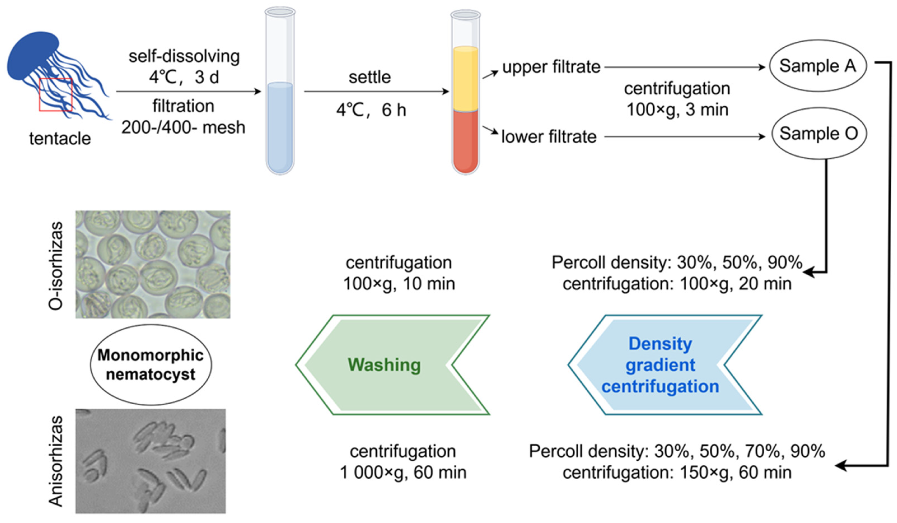 Preprints 177532 g011