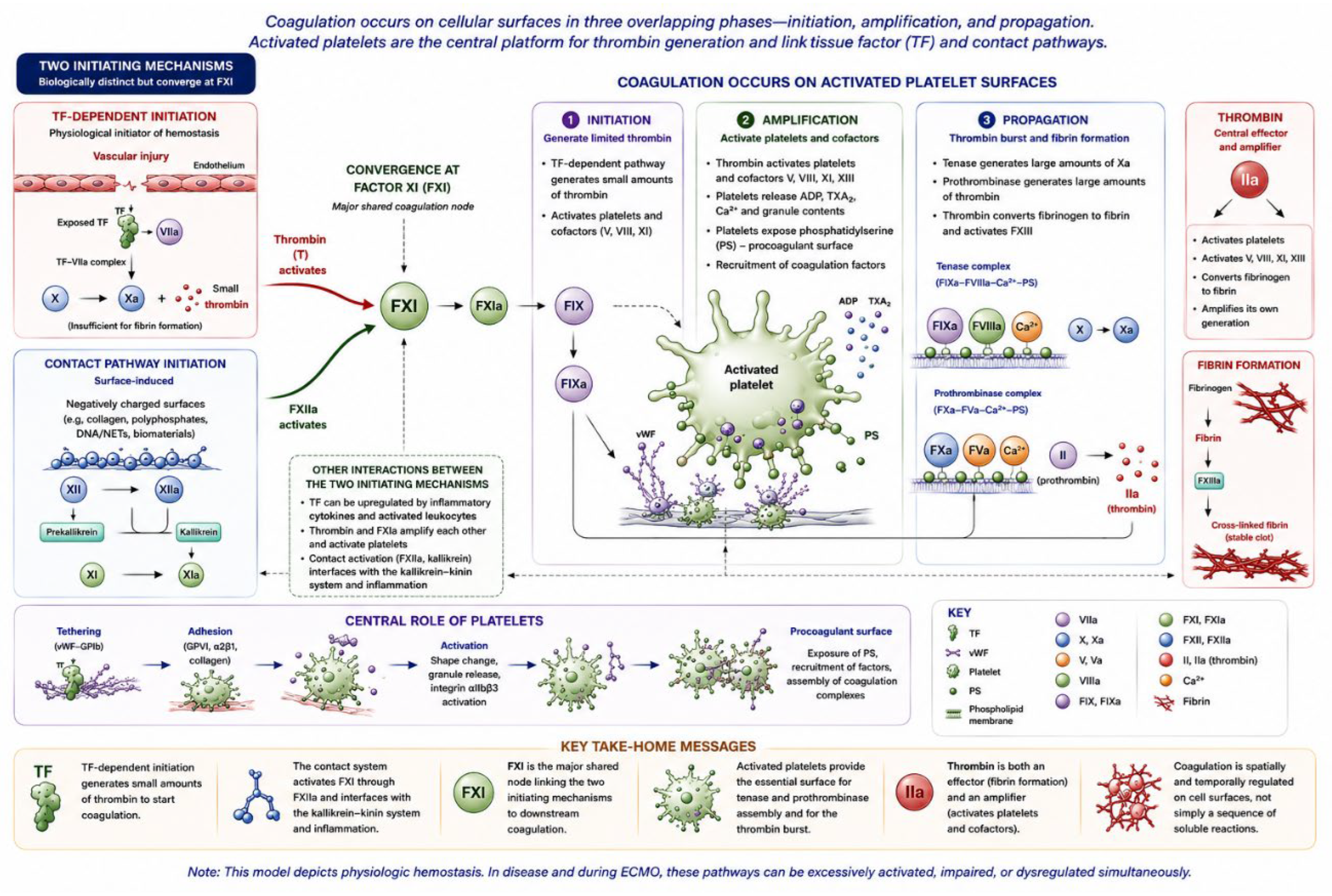 Preprints 231442 g001 Preprints 231442 g001