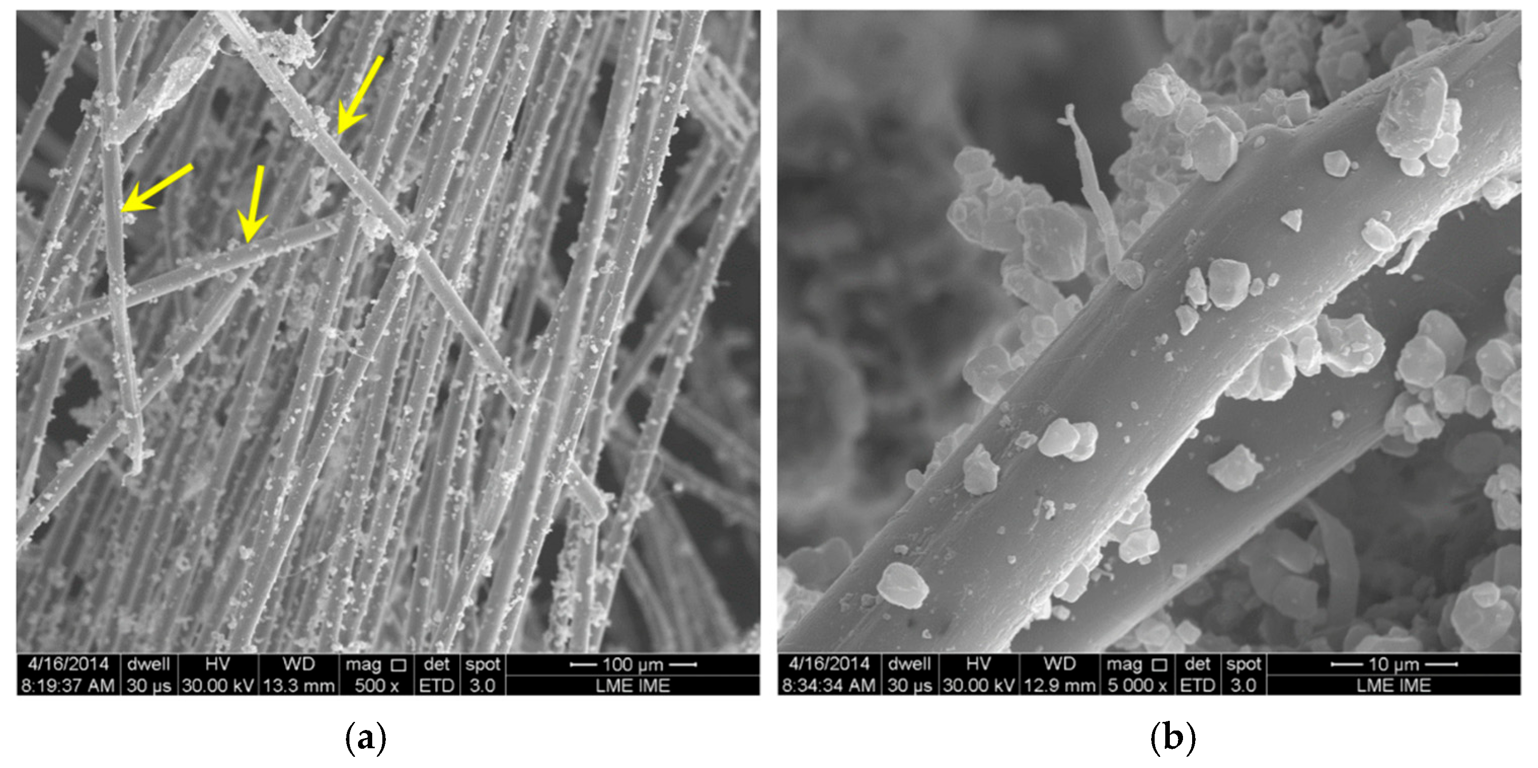 Preprints 198835 g003