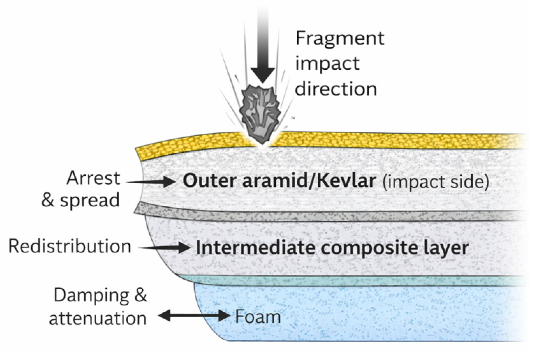 Preprints 198835 g006
