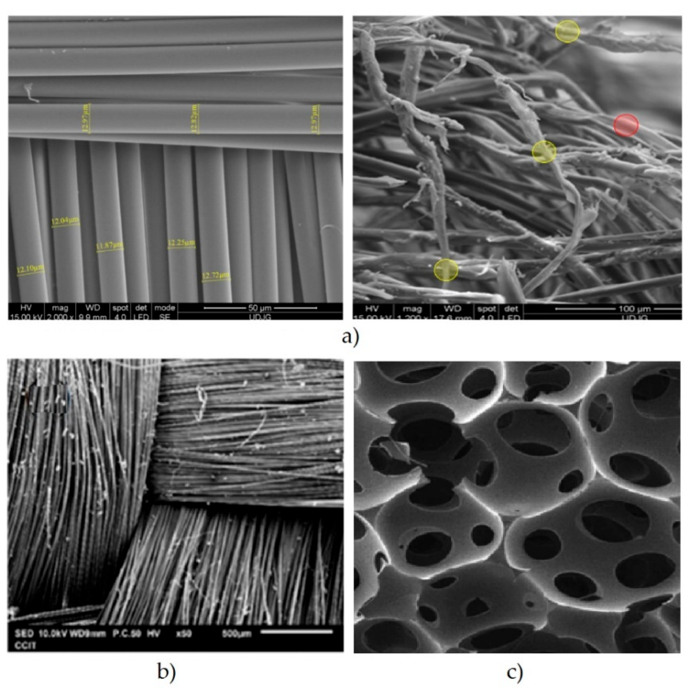 Preprints 198835 g007