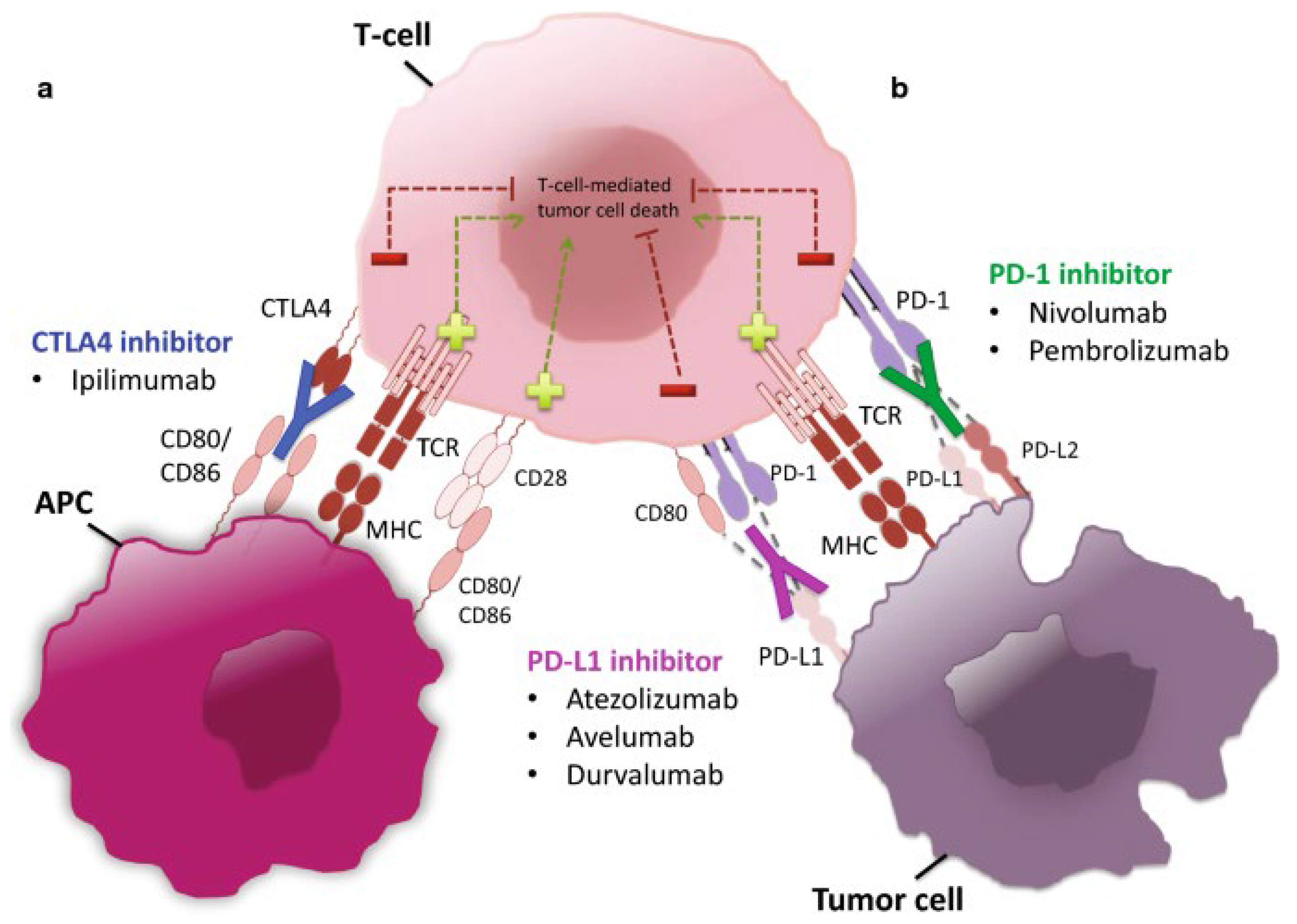 Preprints 137749 g003