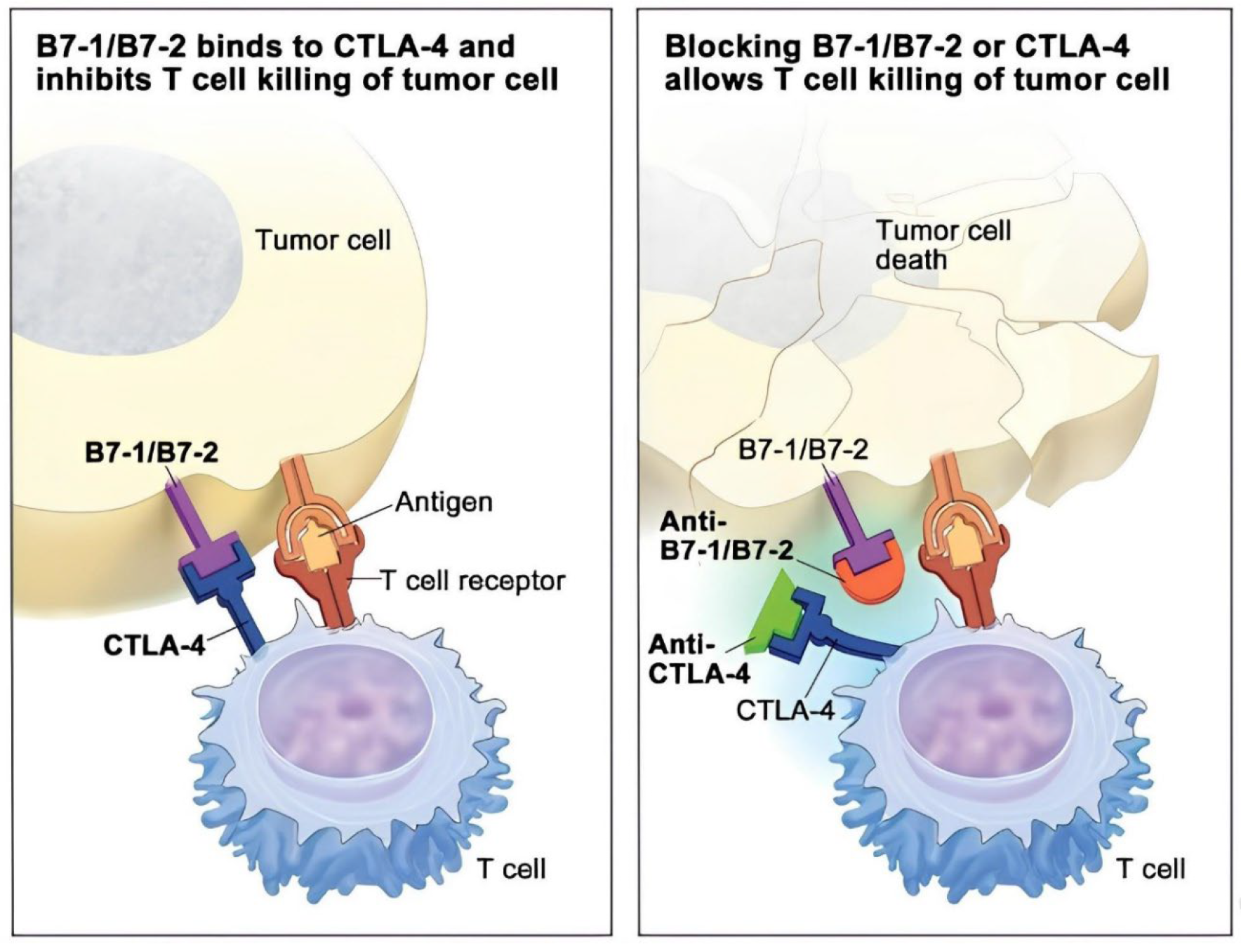 Preprints 137749 g004