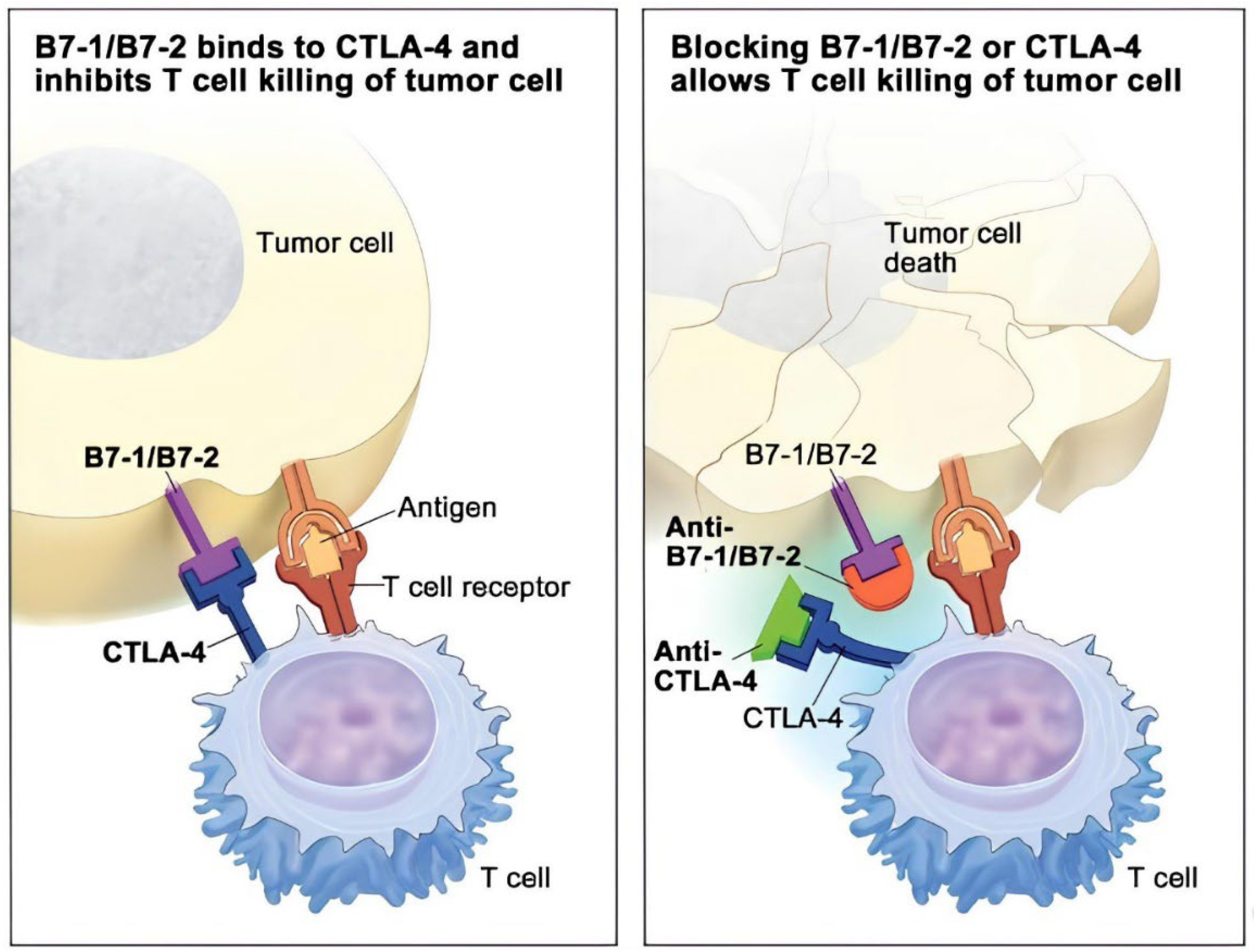 Preprints 137749 g005