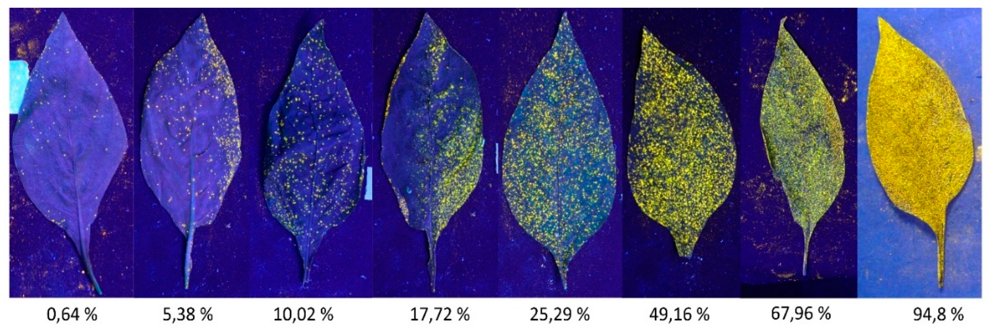 Preprints 155381 g003