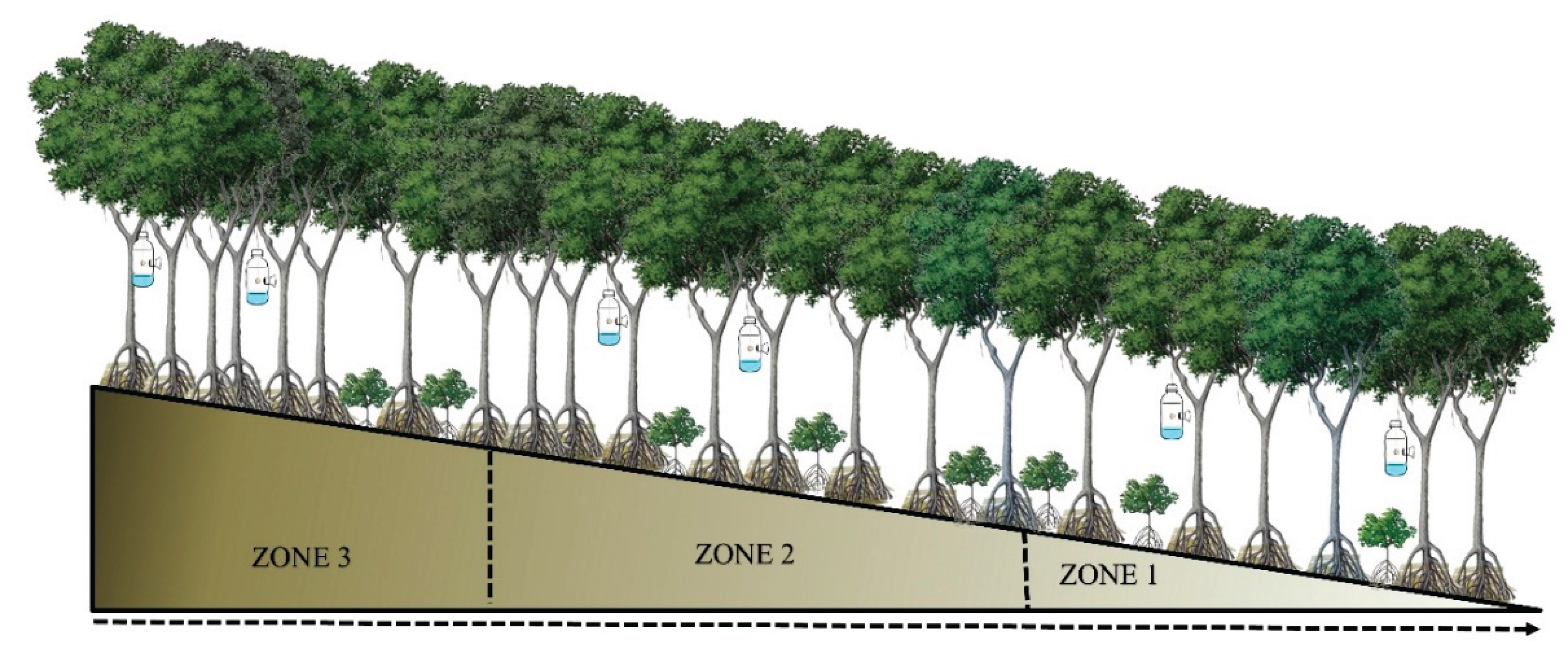 Preprints 172123 g002