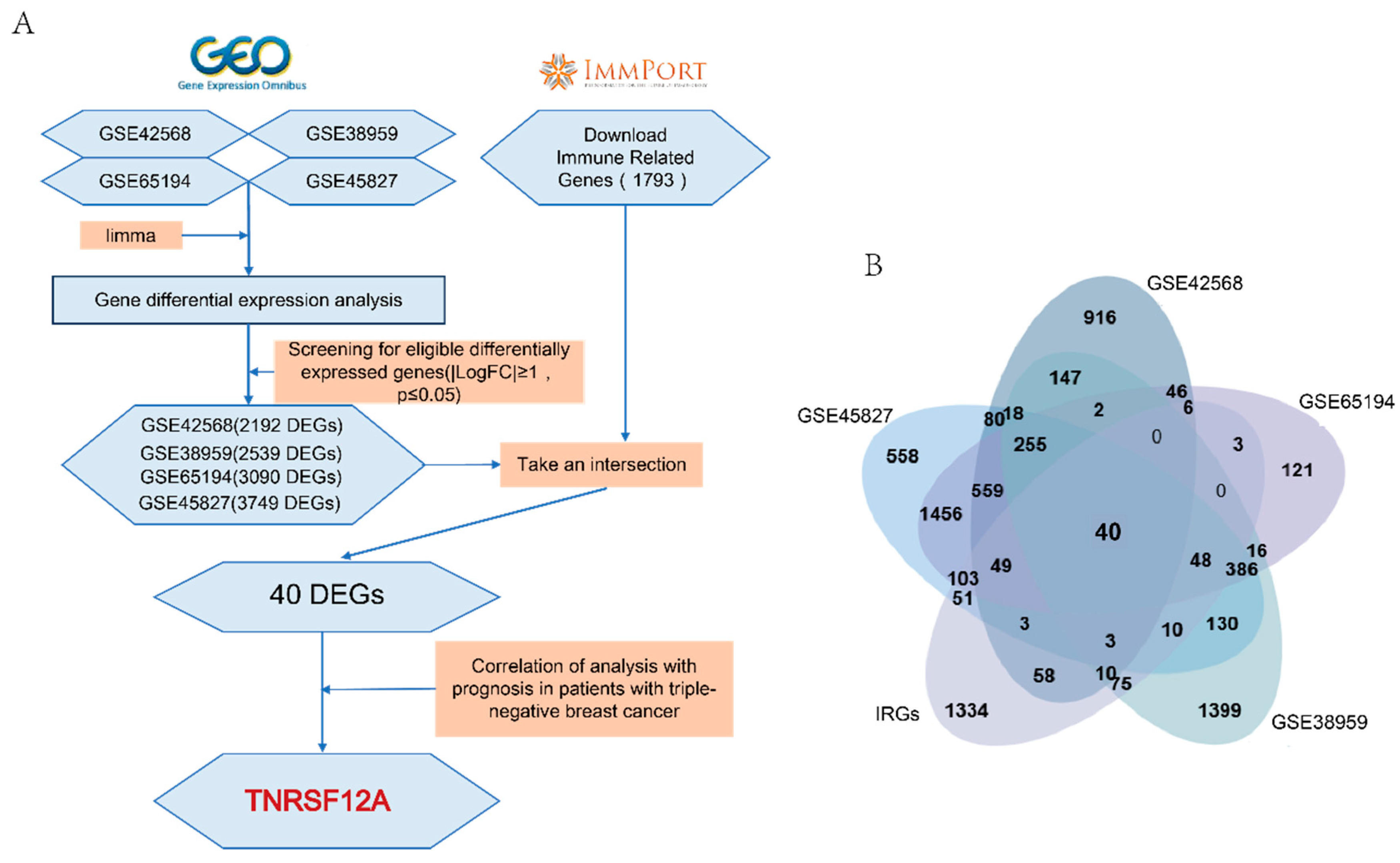 Preprints 174301 g001