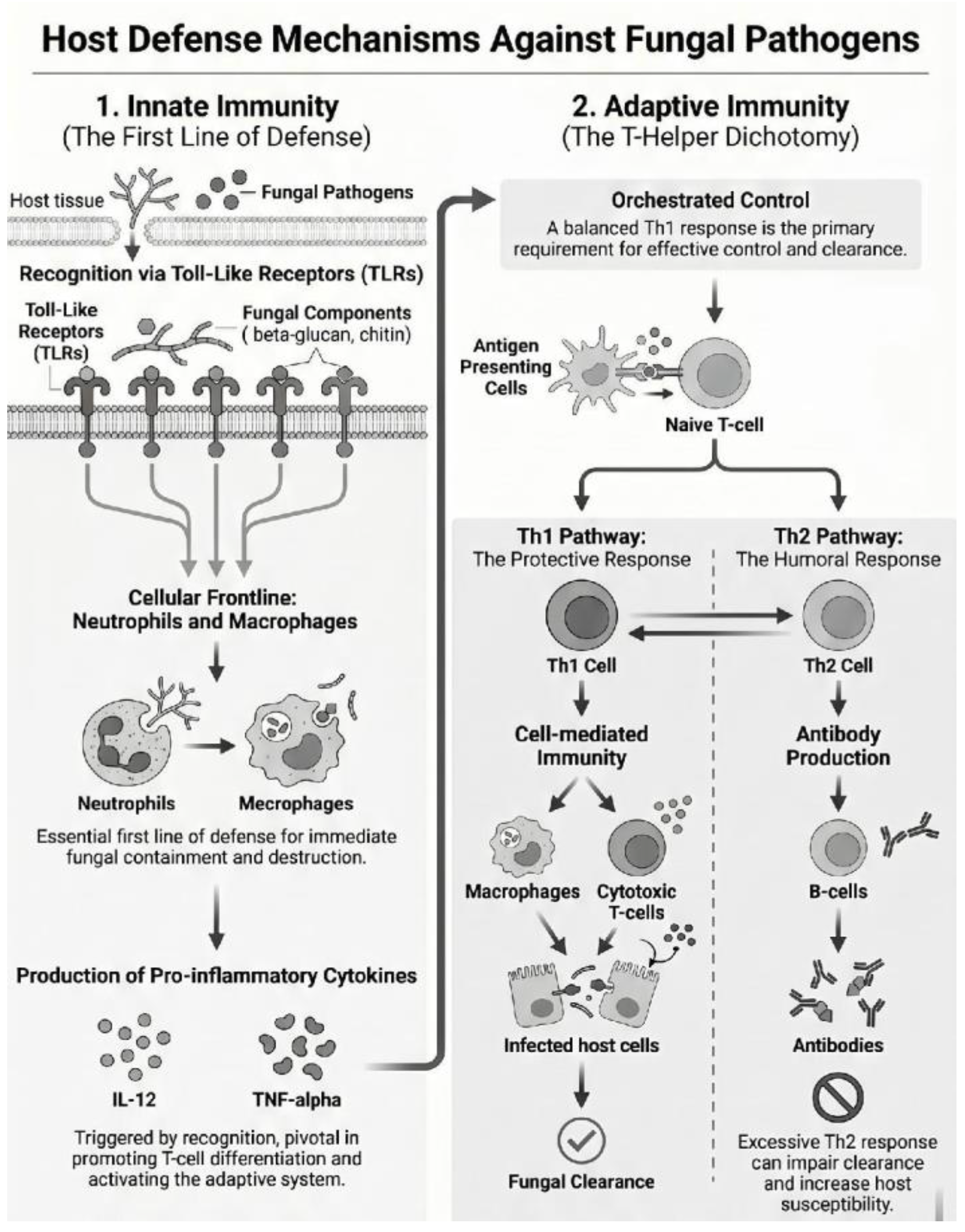 Preprints 229154 g001 Preprints 229154 g001