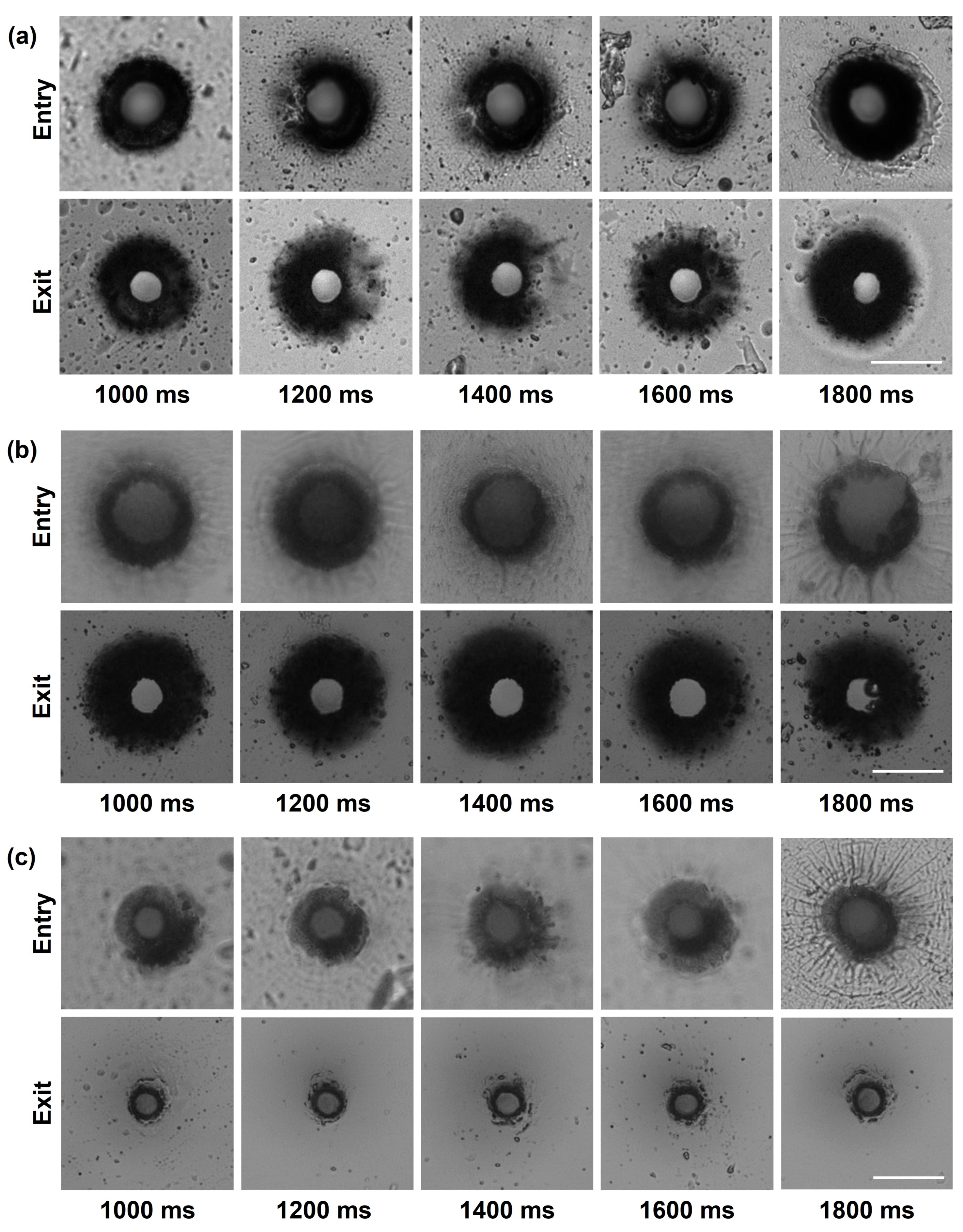 A Femtosecond Laser Micromachining for Drilling PDMS