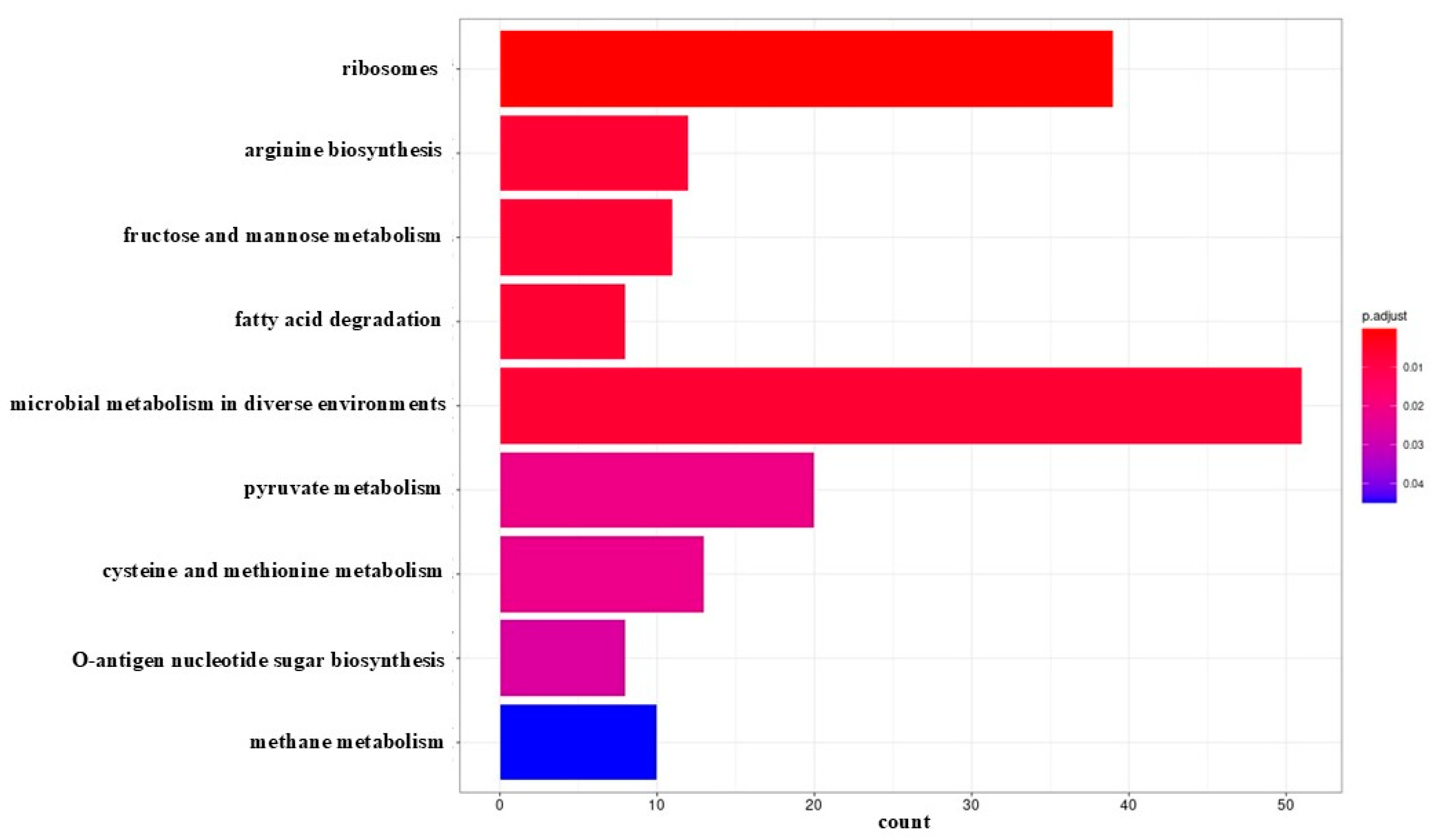 Preprints 156568 g004