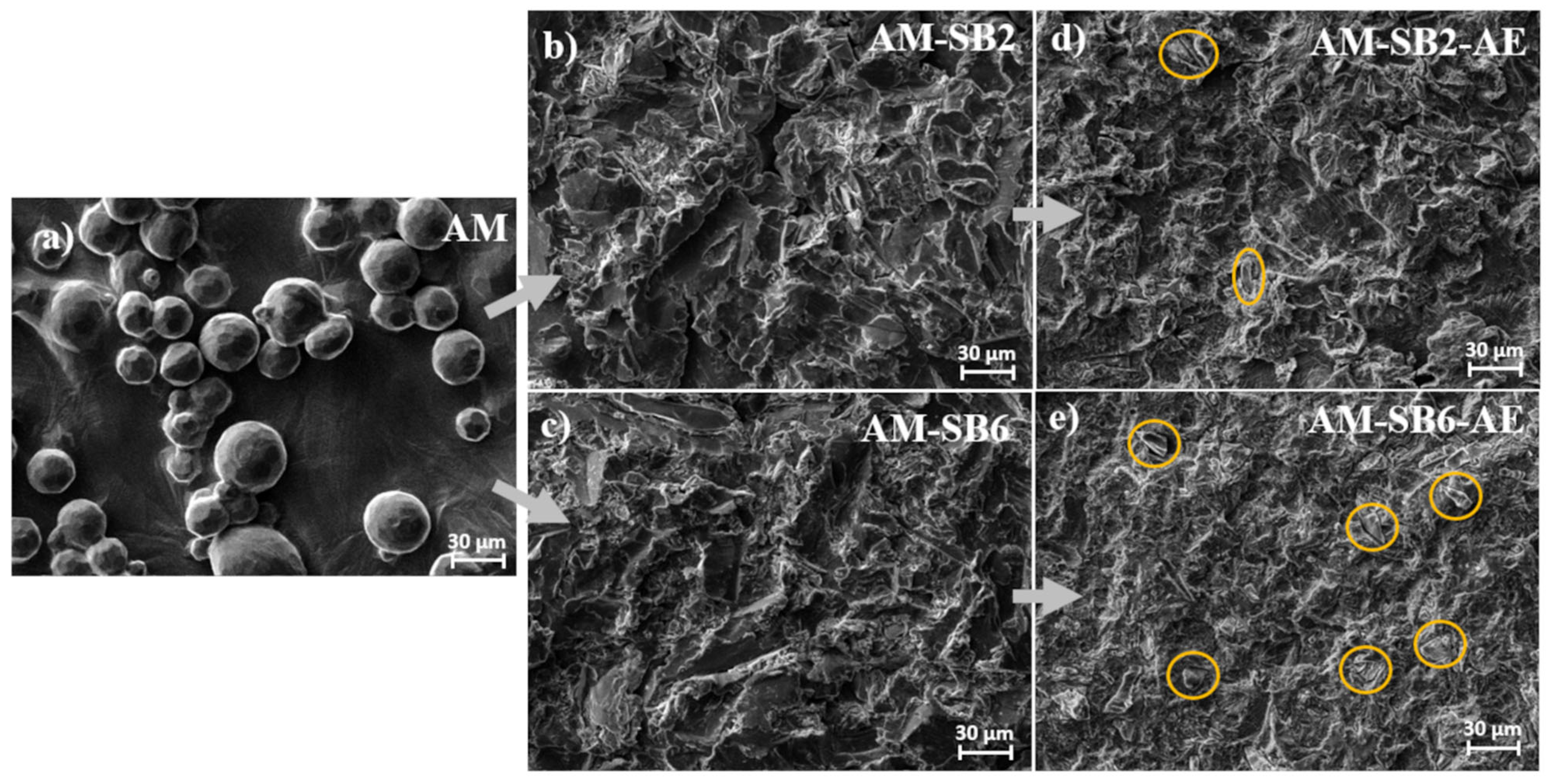 Preprints 166925 g002