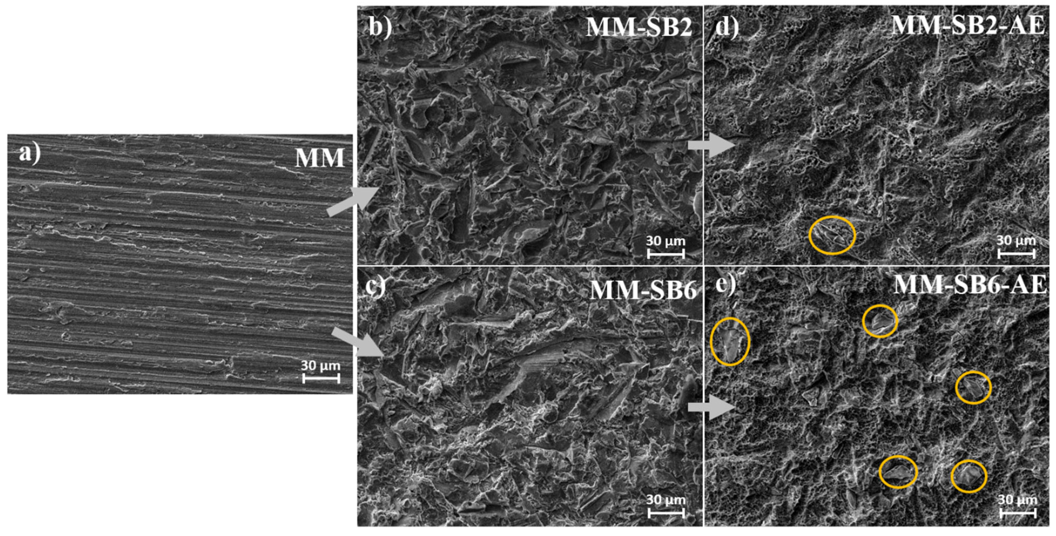 Preprints 166925 g004