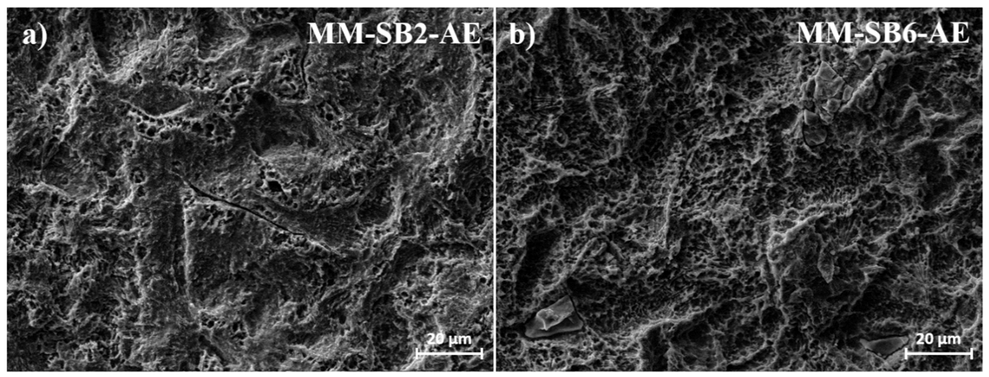 Preprints 166925 g005