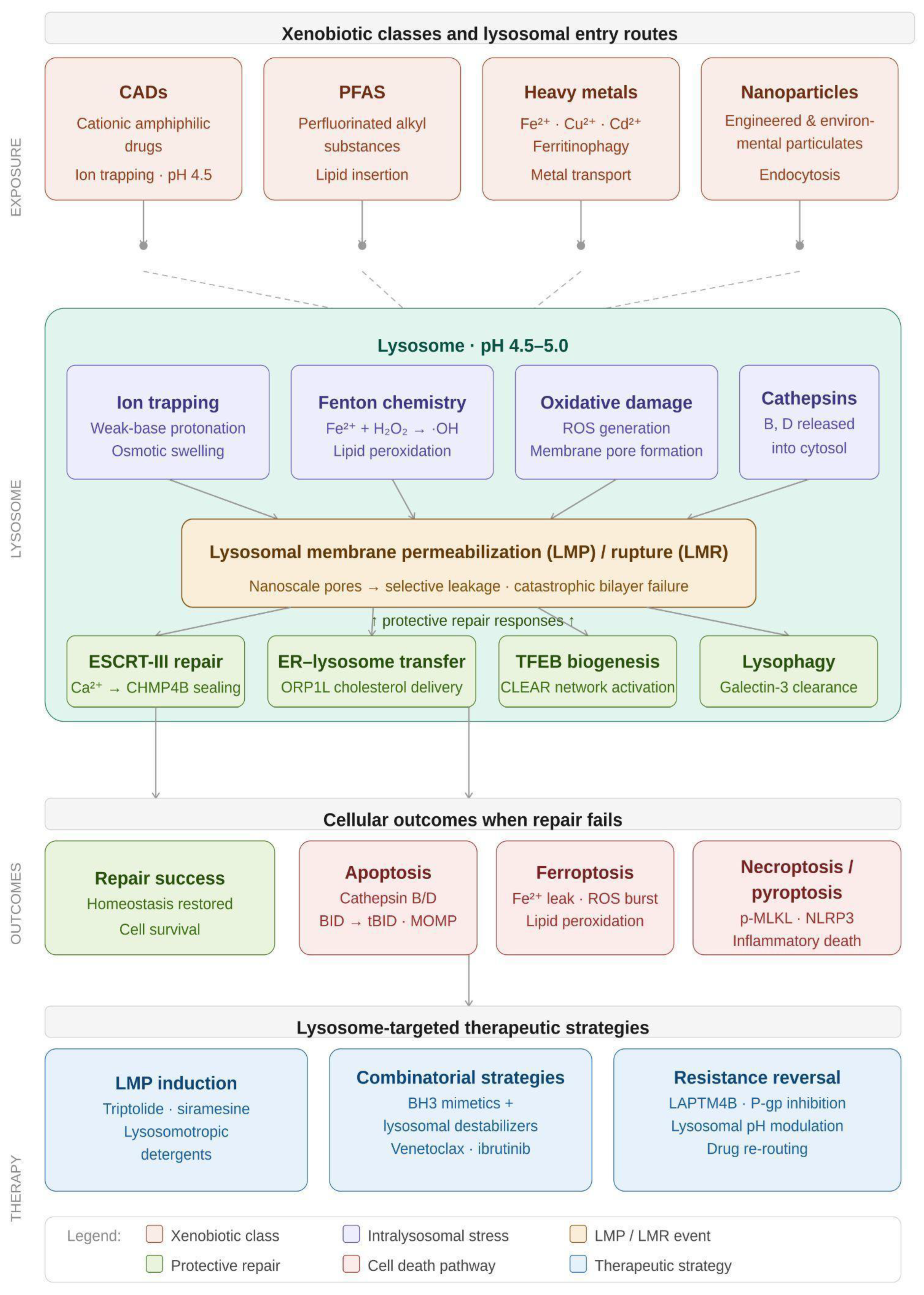 Preprints 235305 g001 Preprints 235305 g001