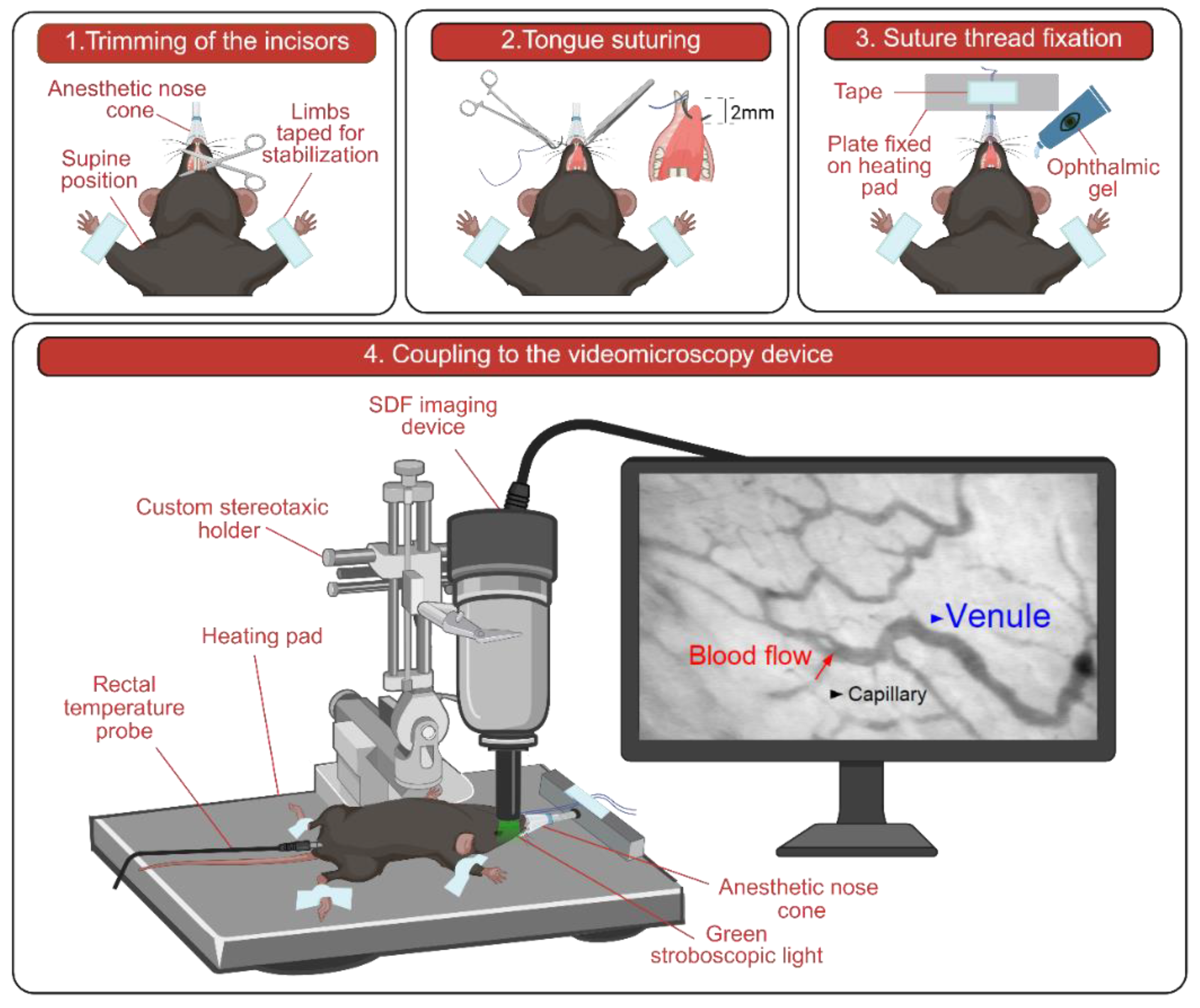Preprints 173001 g001