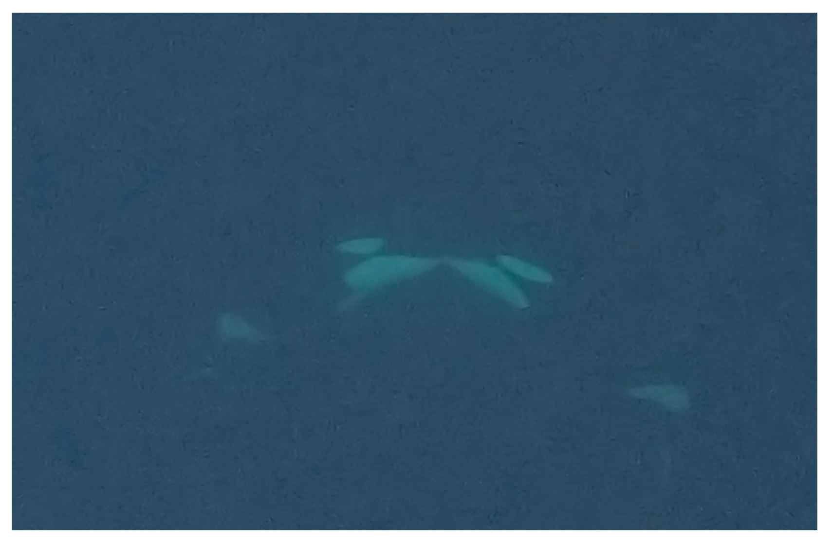 Preprints 155133 g002