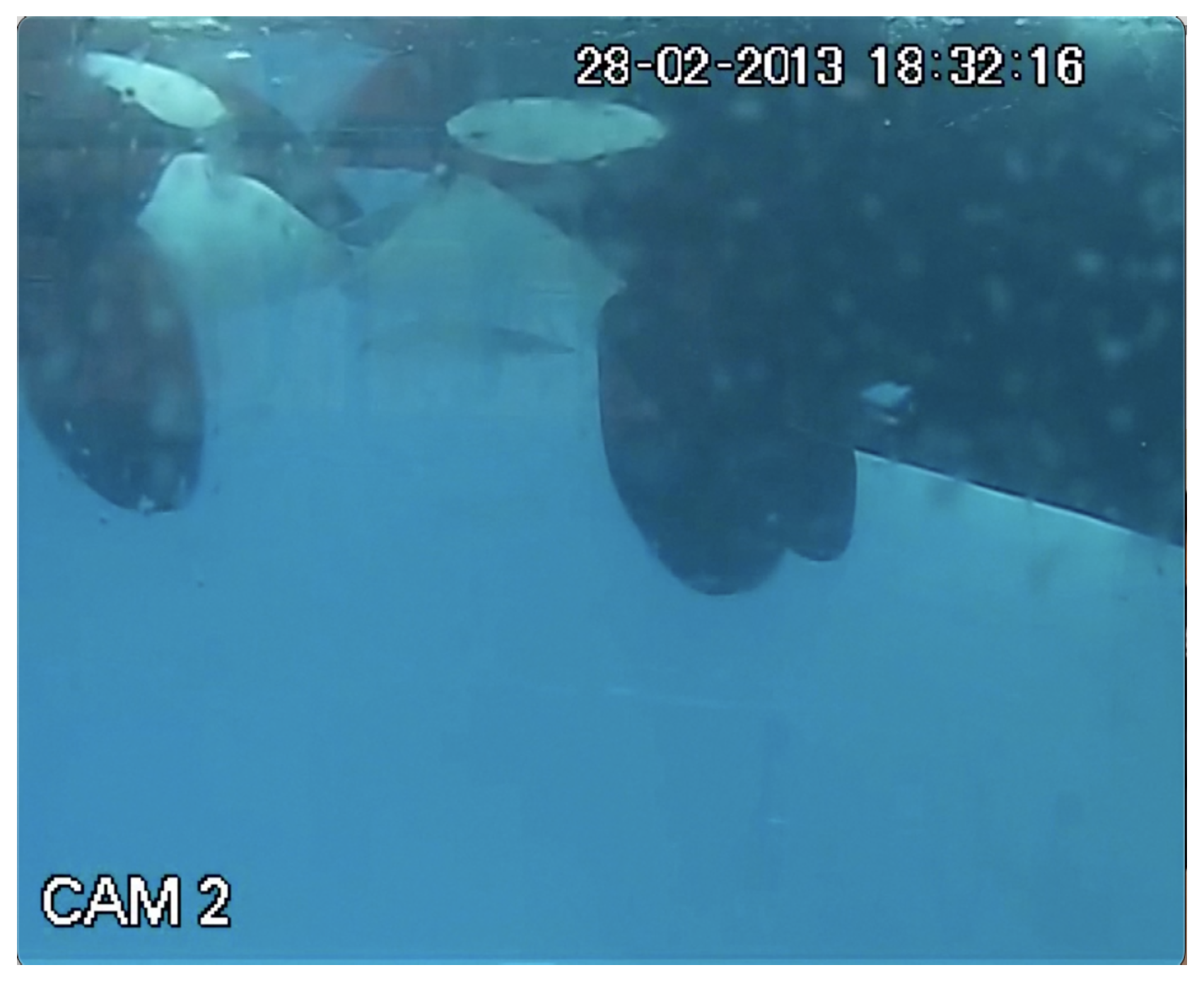 Preprints 155133 g003