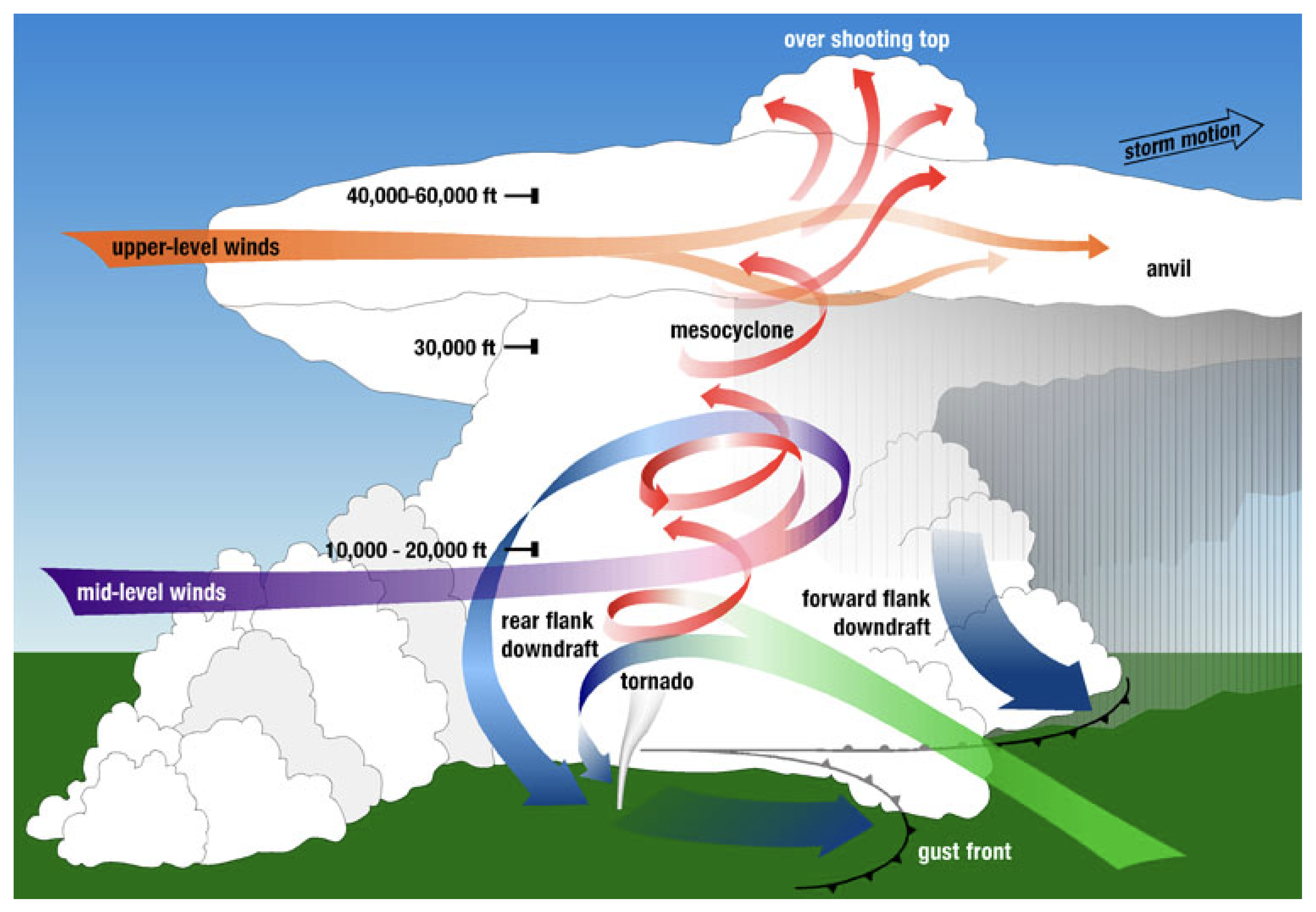 Preprints 146364 g001