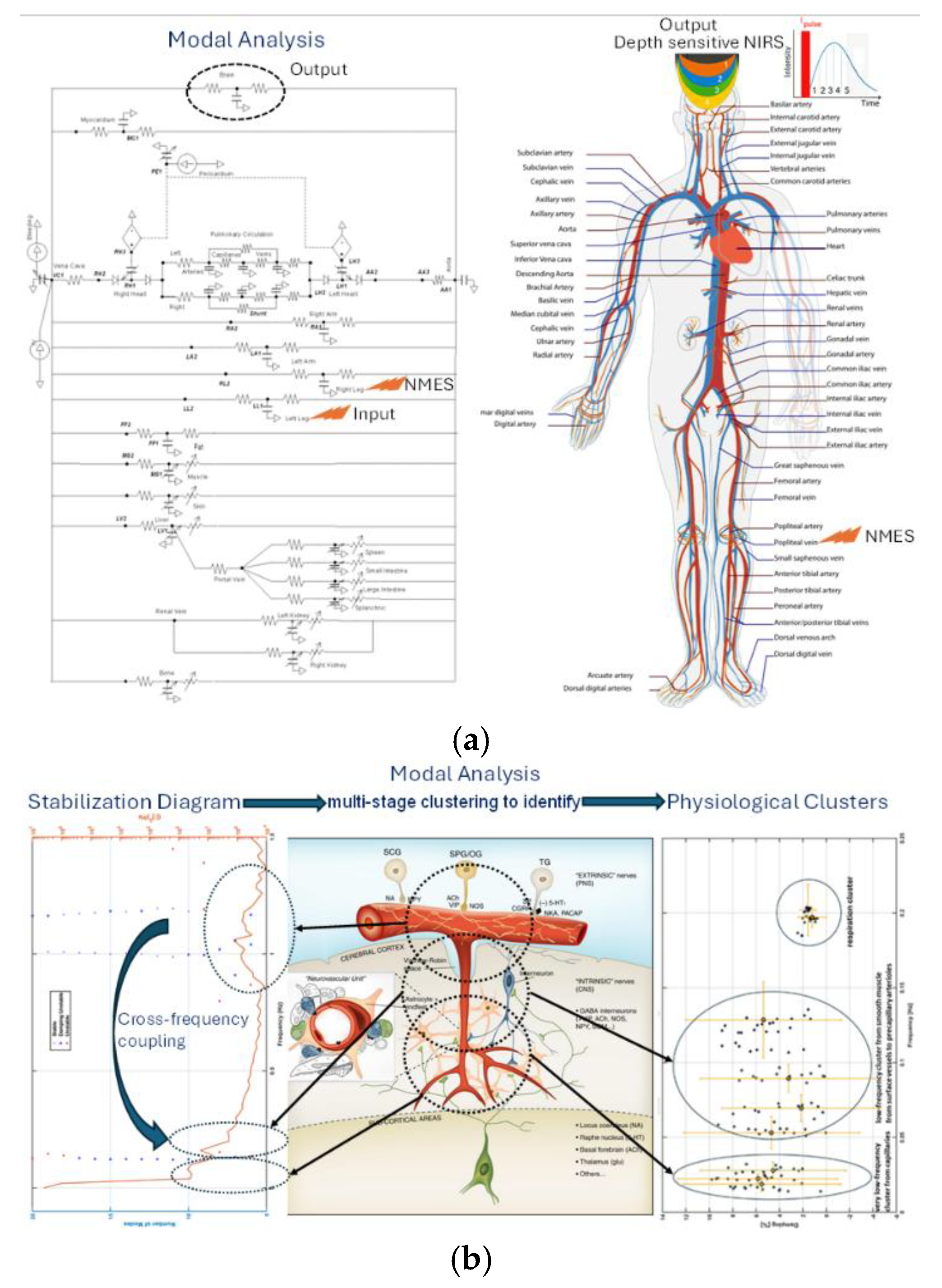 Preprints 177138 g004