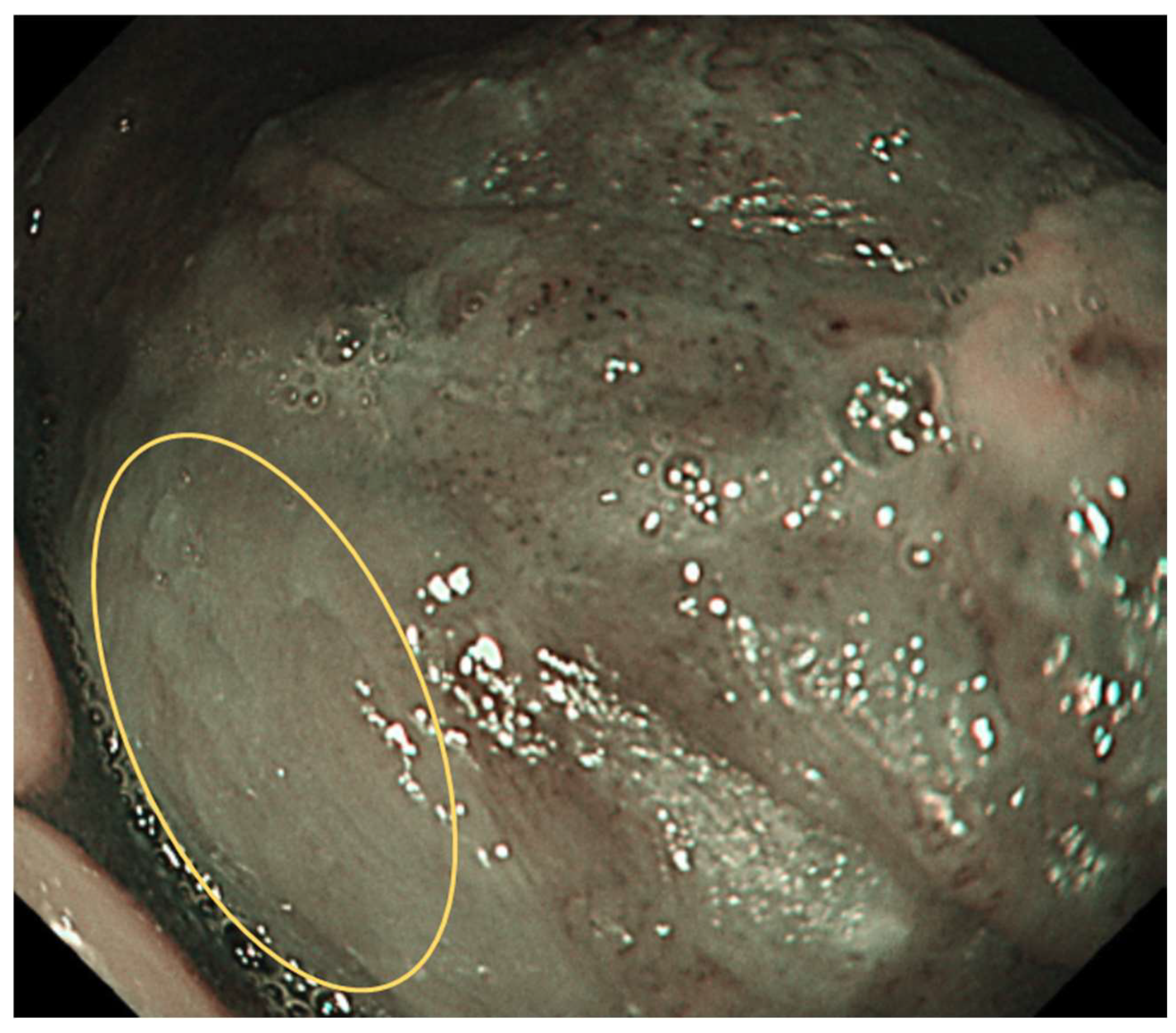 Preprints 139658 g001