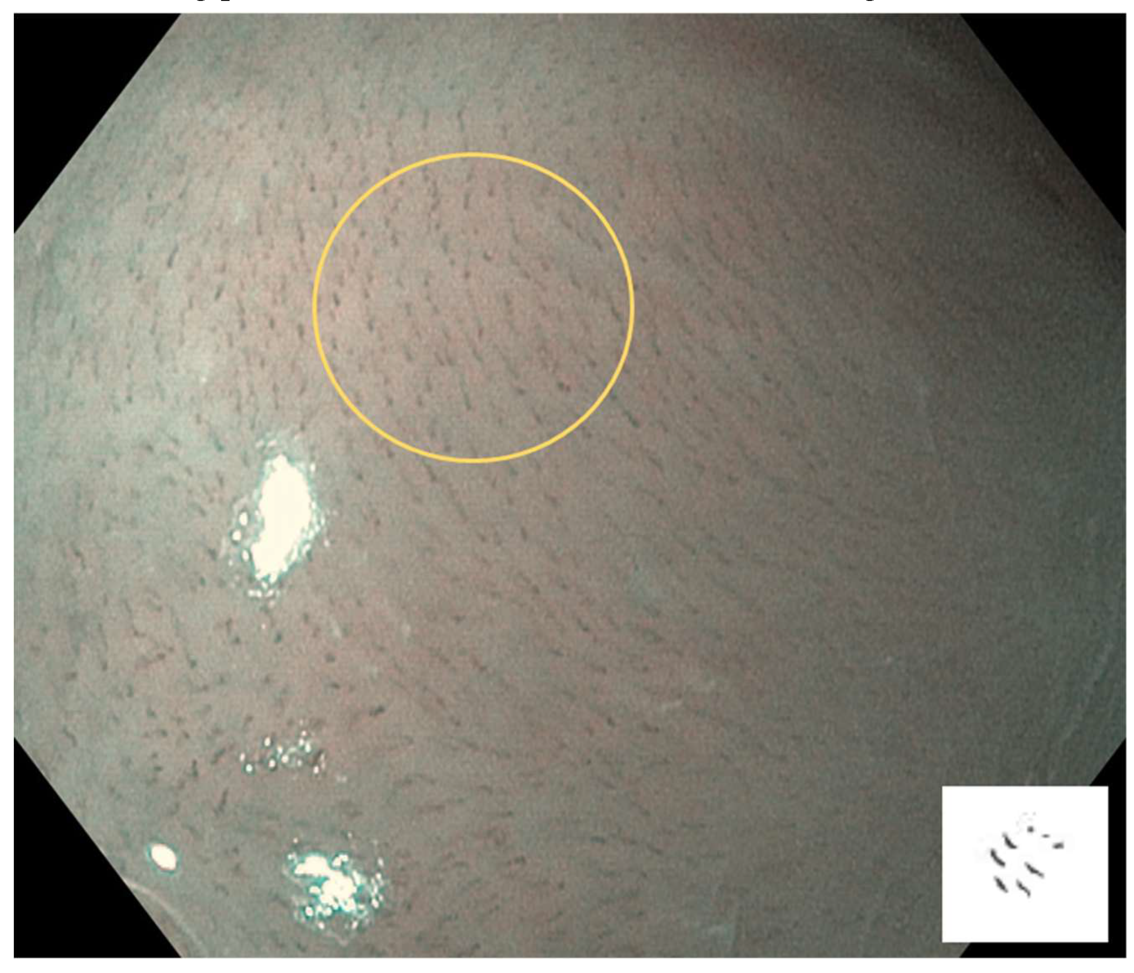 Preprints 139658 g002