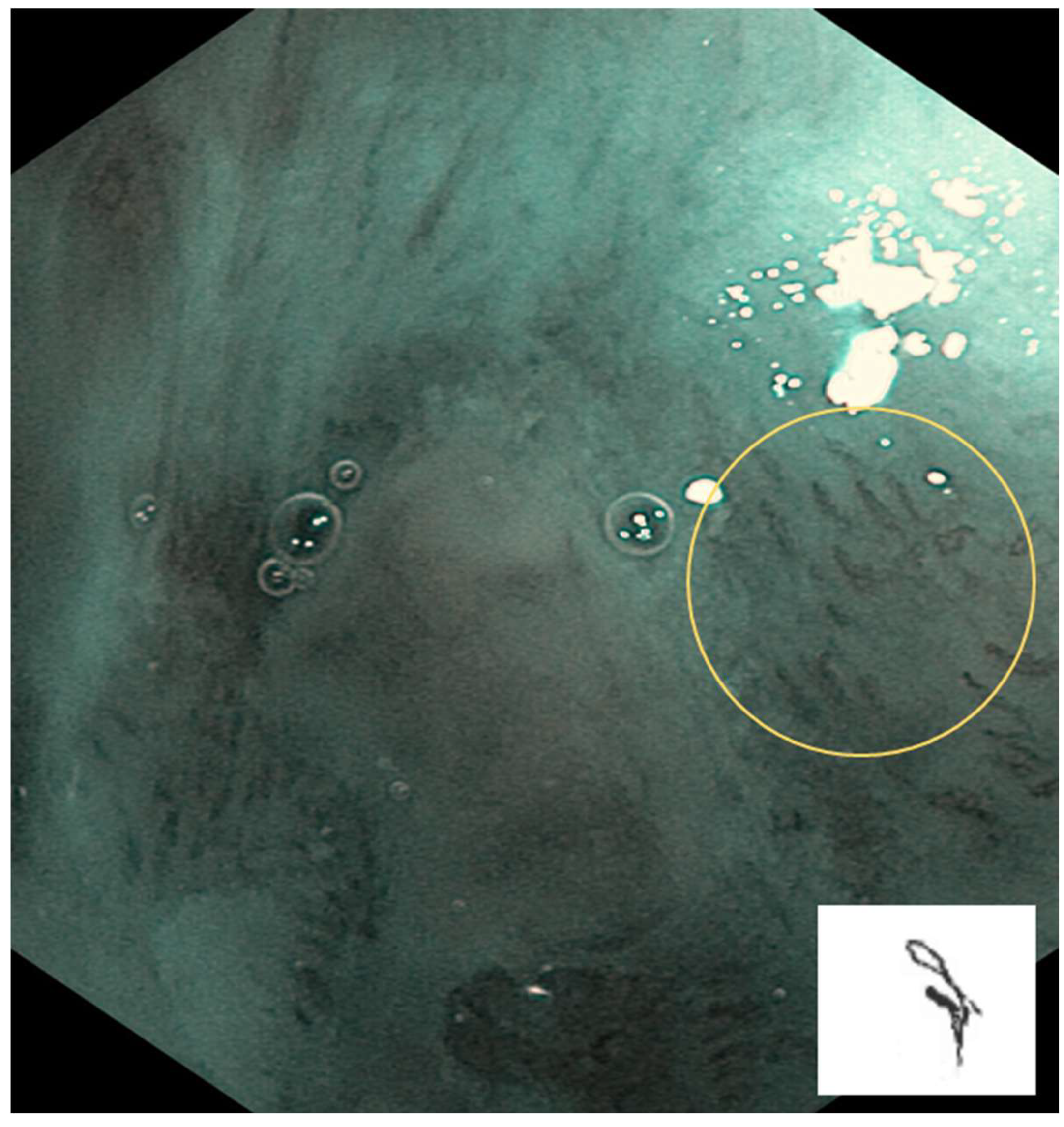 Preprints 139658 g003