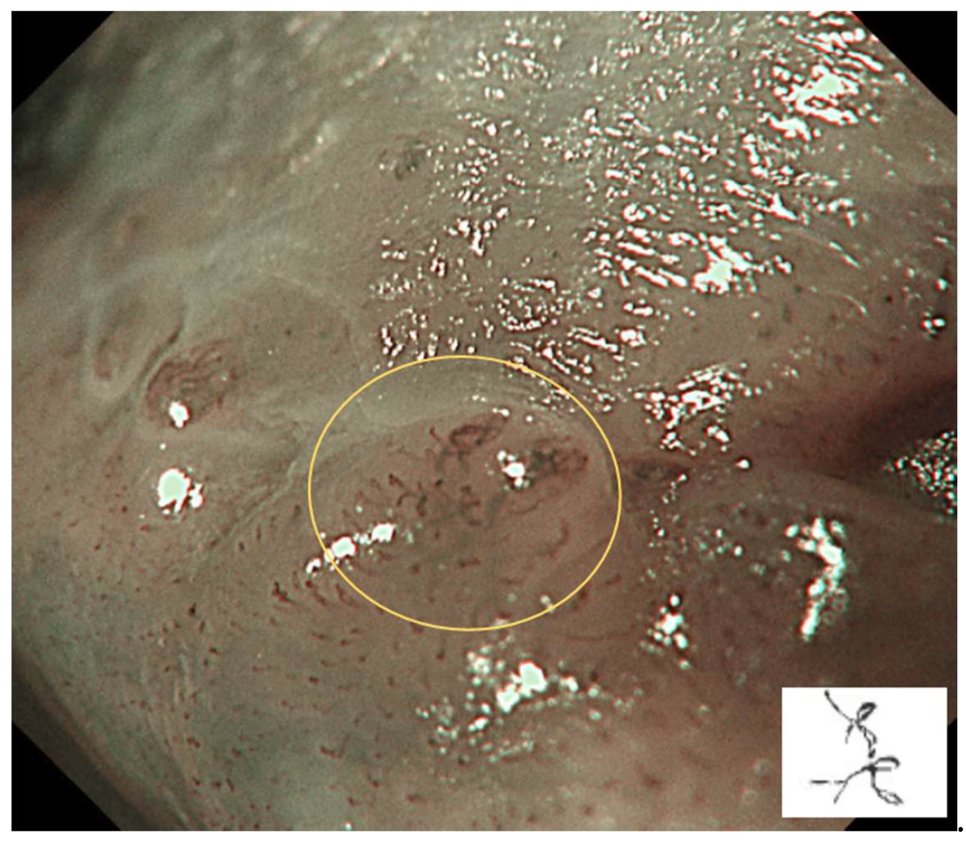 Preprints 139658 g004