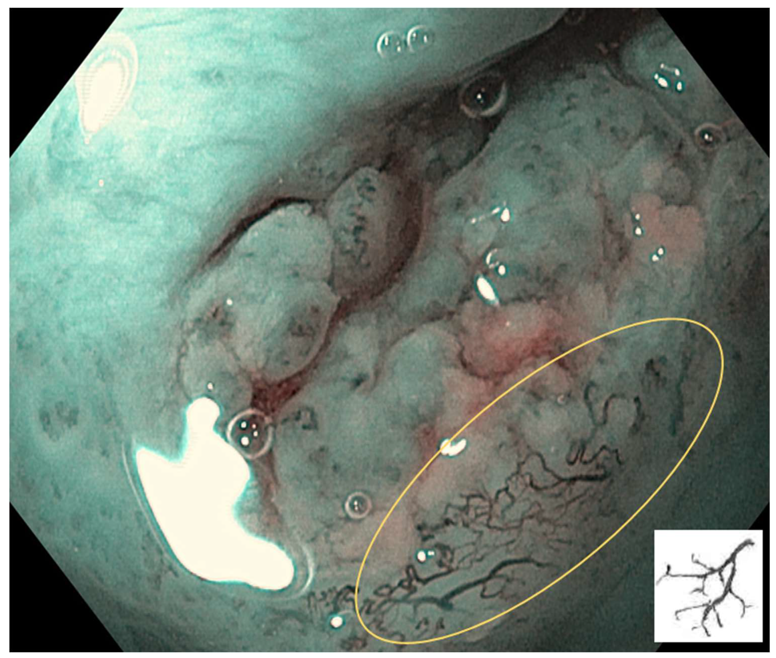 Preprints 139658 g005