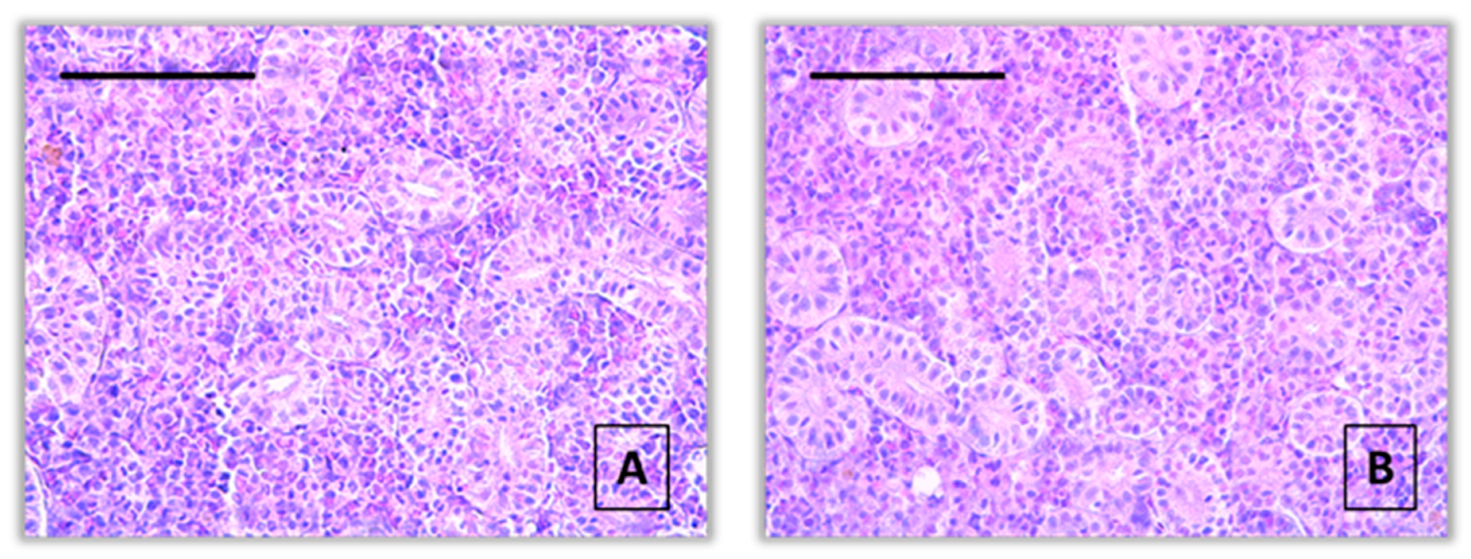 Preprints 158870 g001