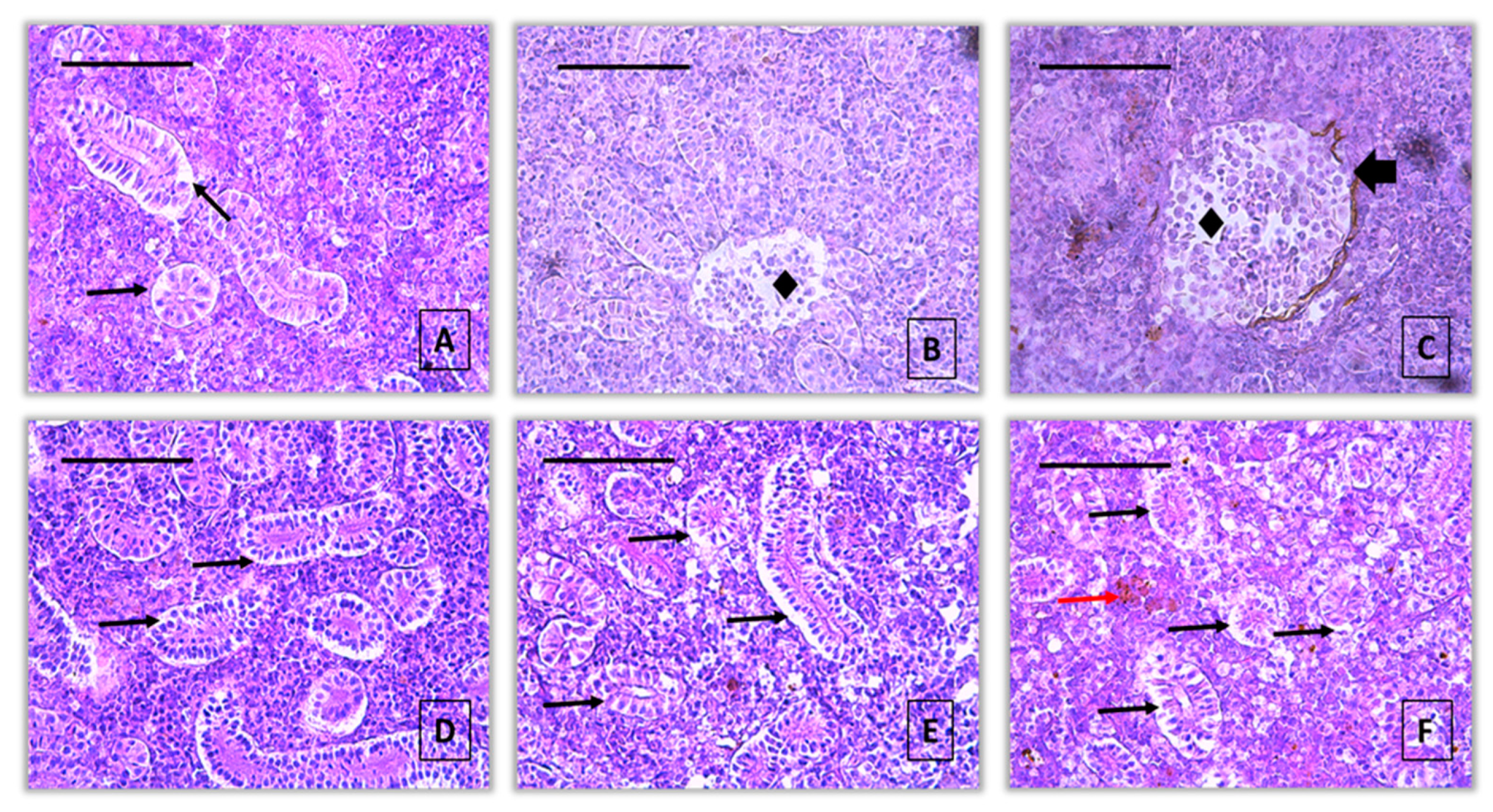 Preprints 158870 g004