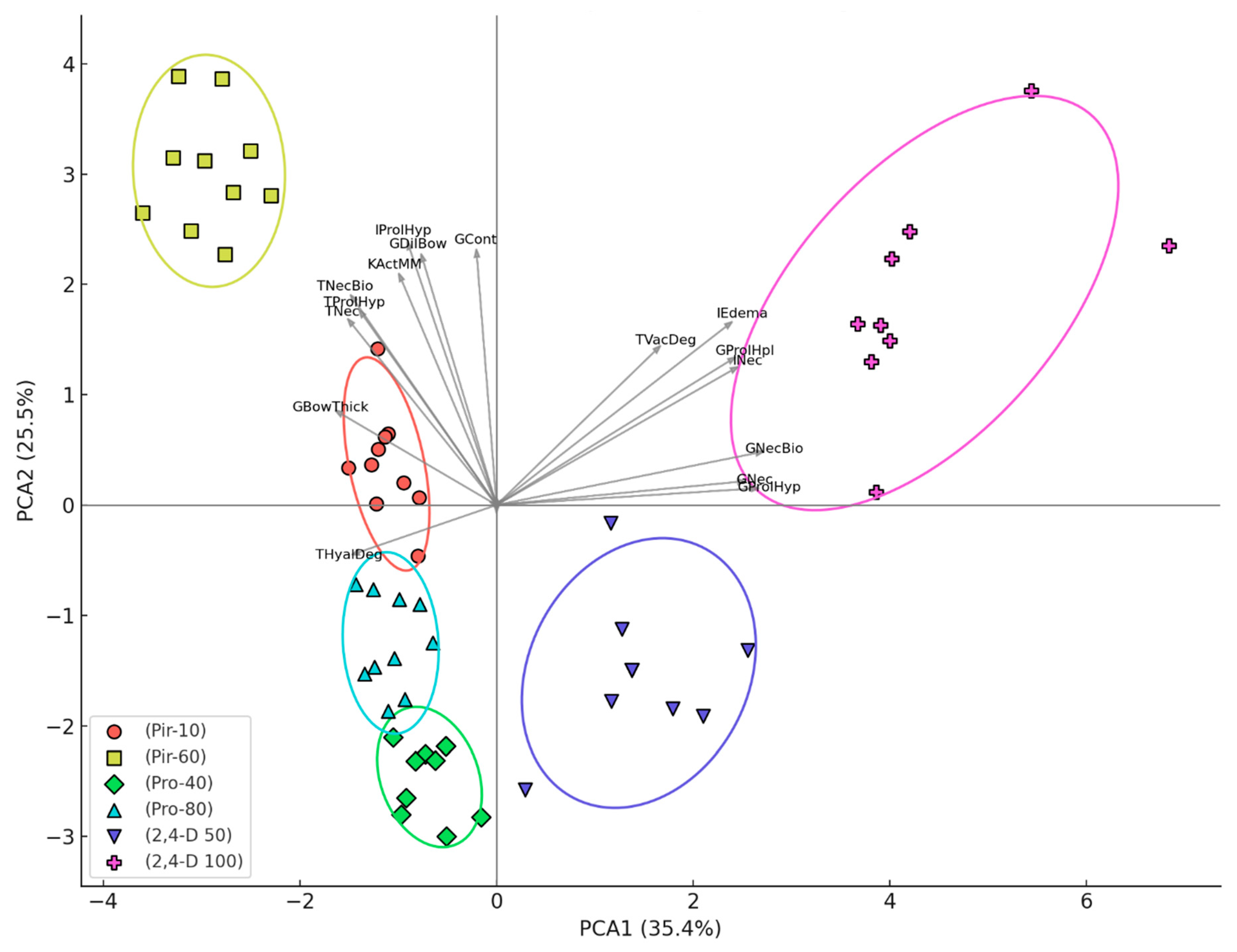 Preprints 158870 g006
