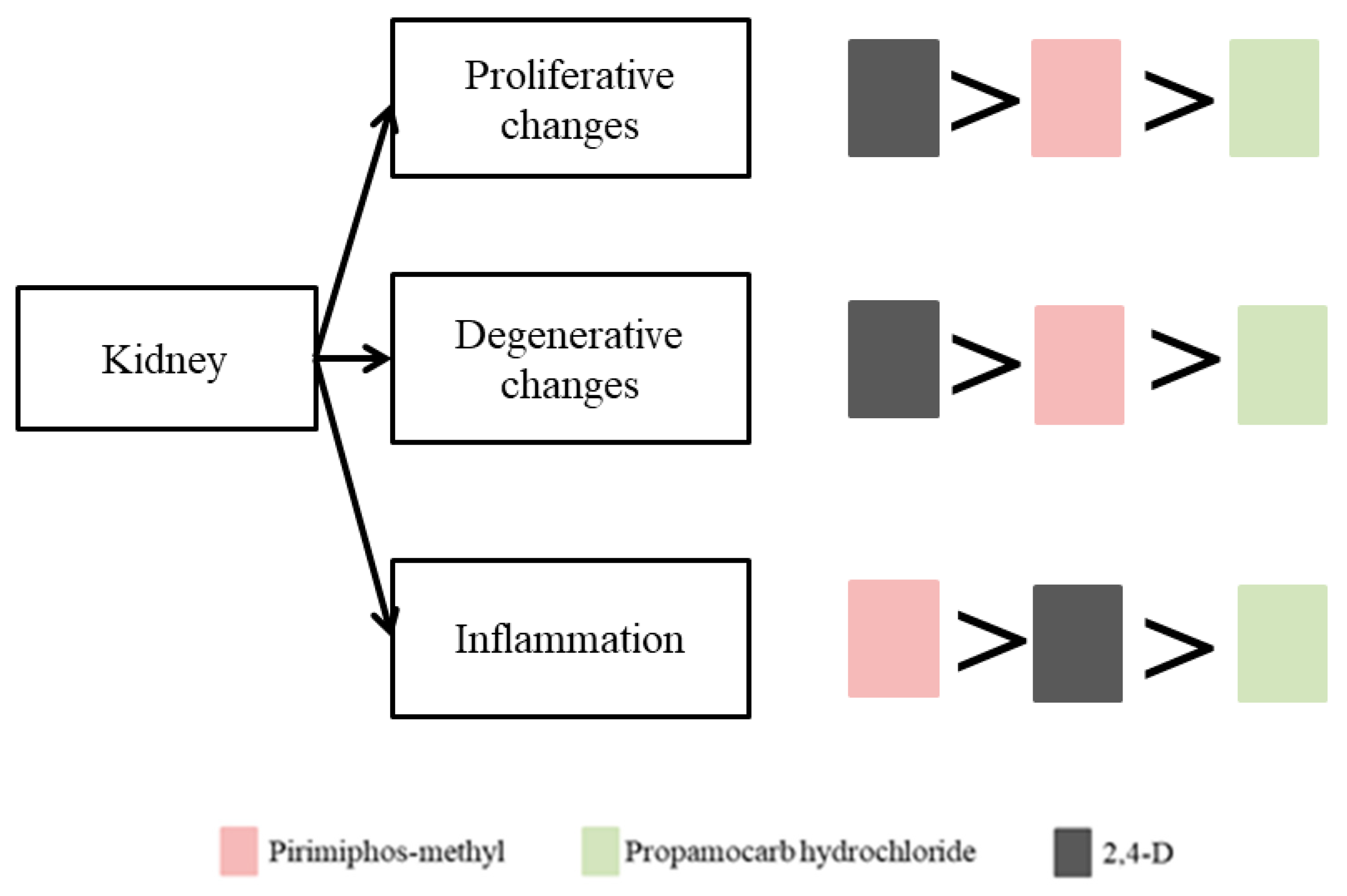 Preprints 158870 g007