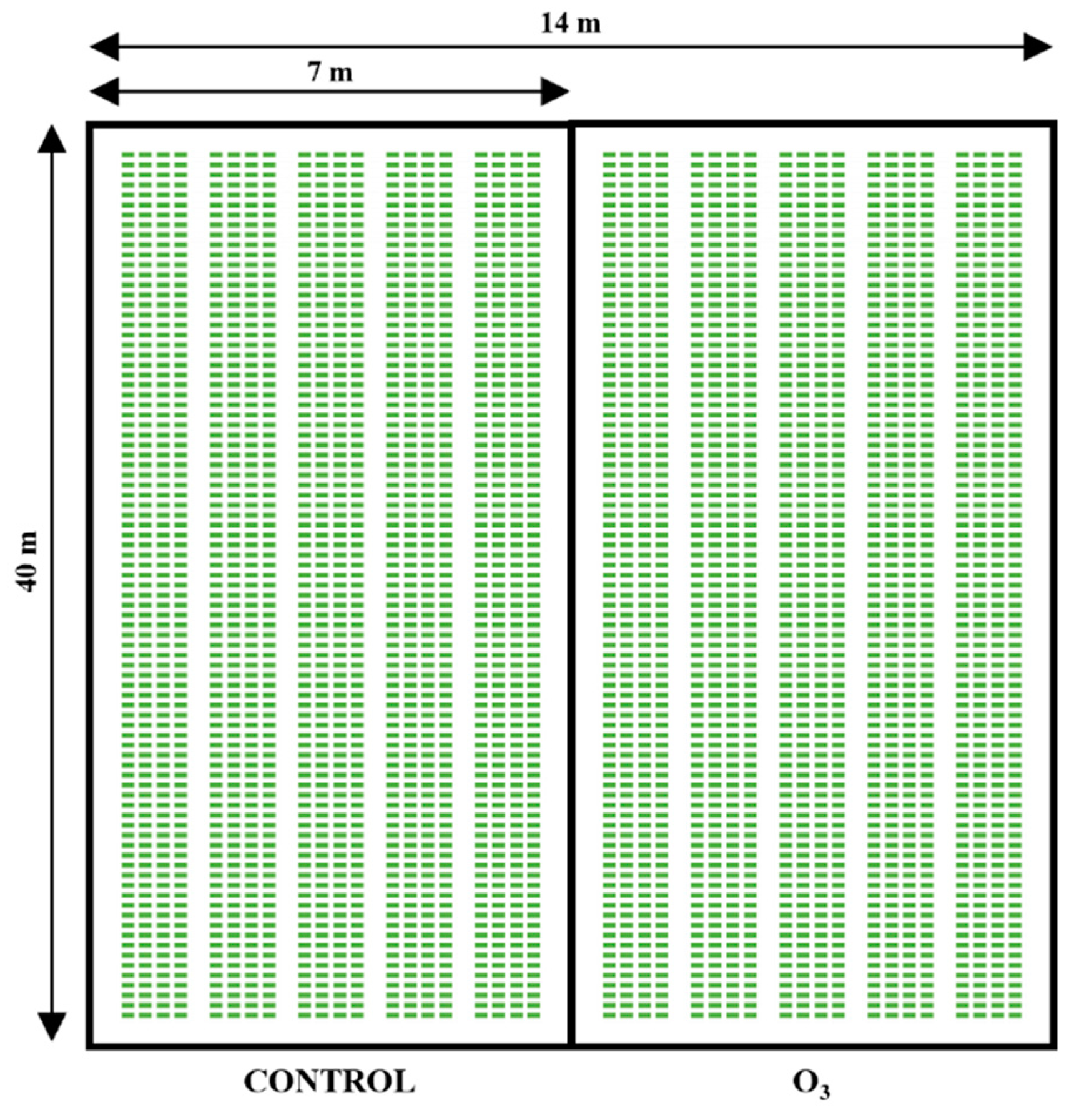 Preprints 139200 g0a1