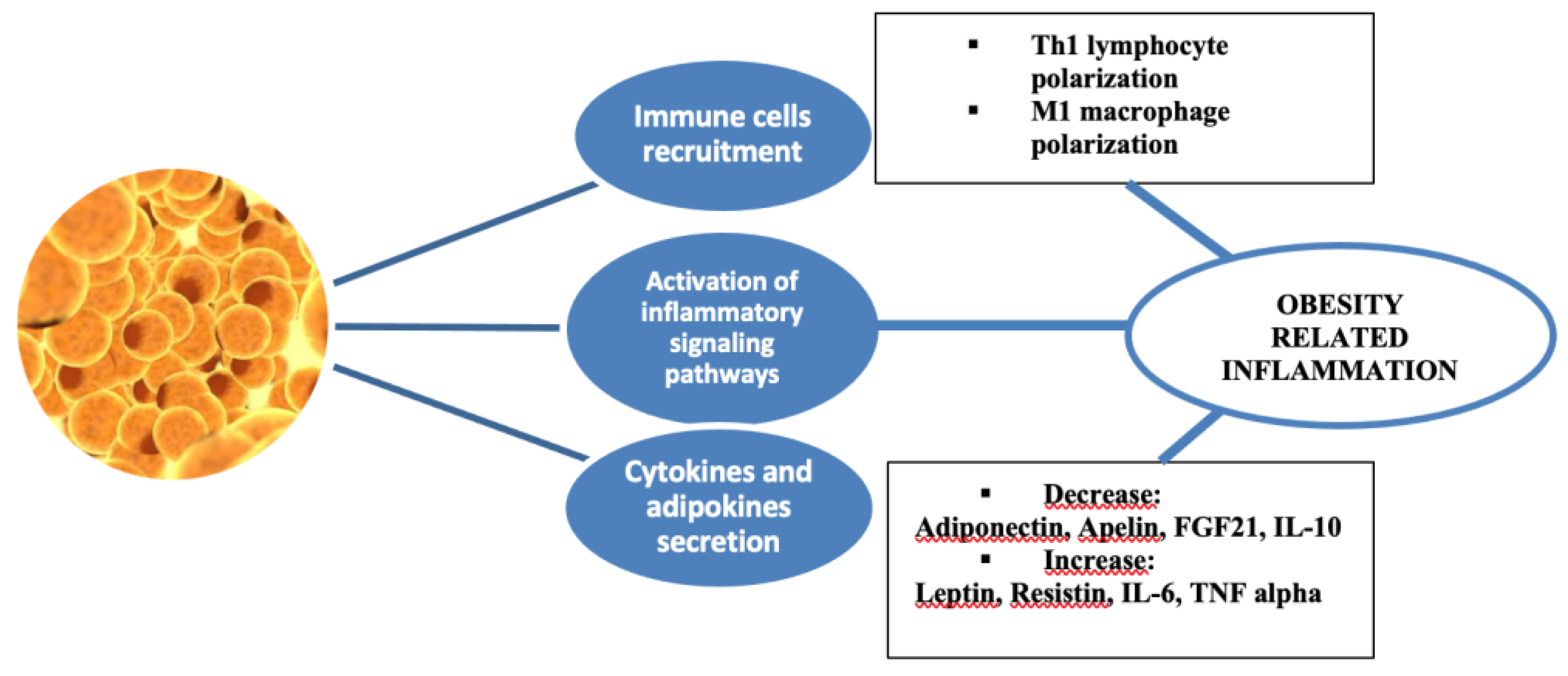 Preprints 154459 g001