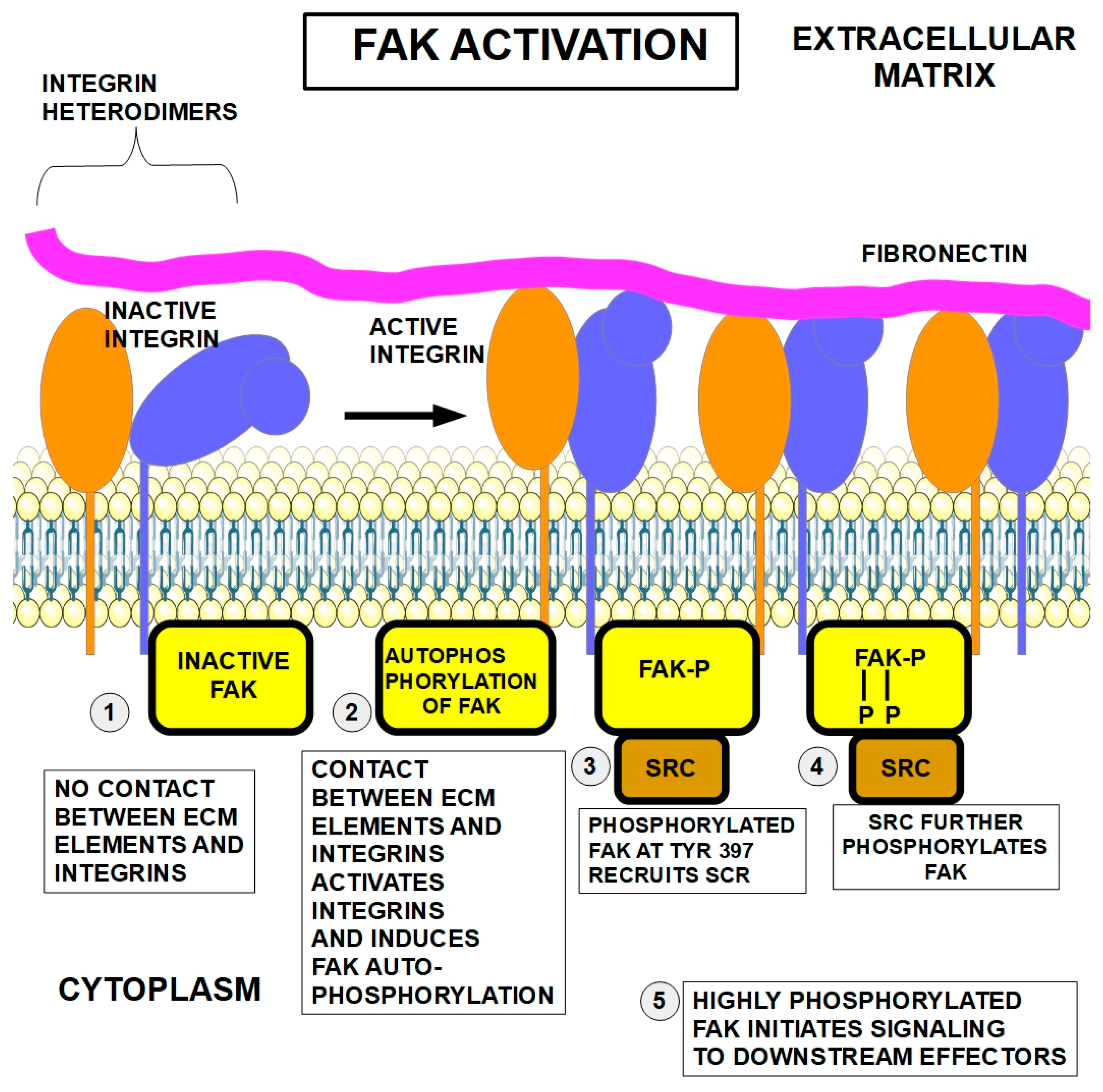 Preprints 186688 g002