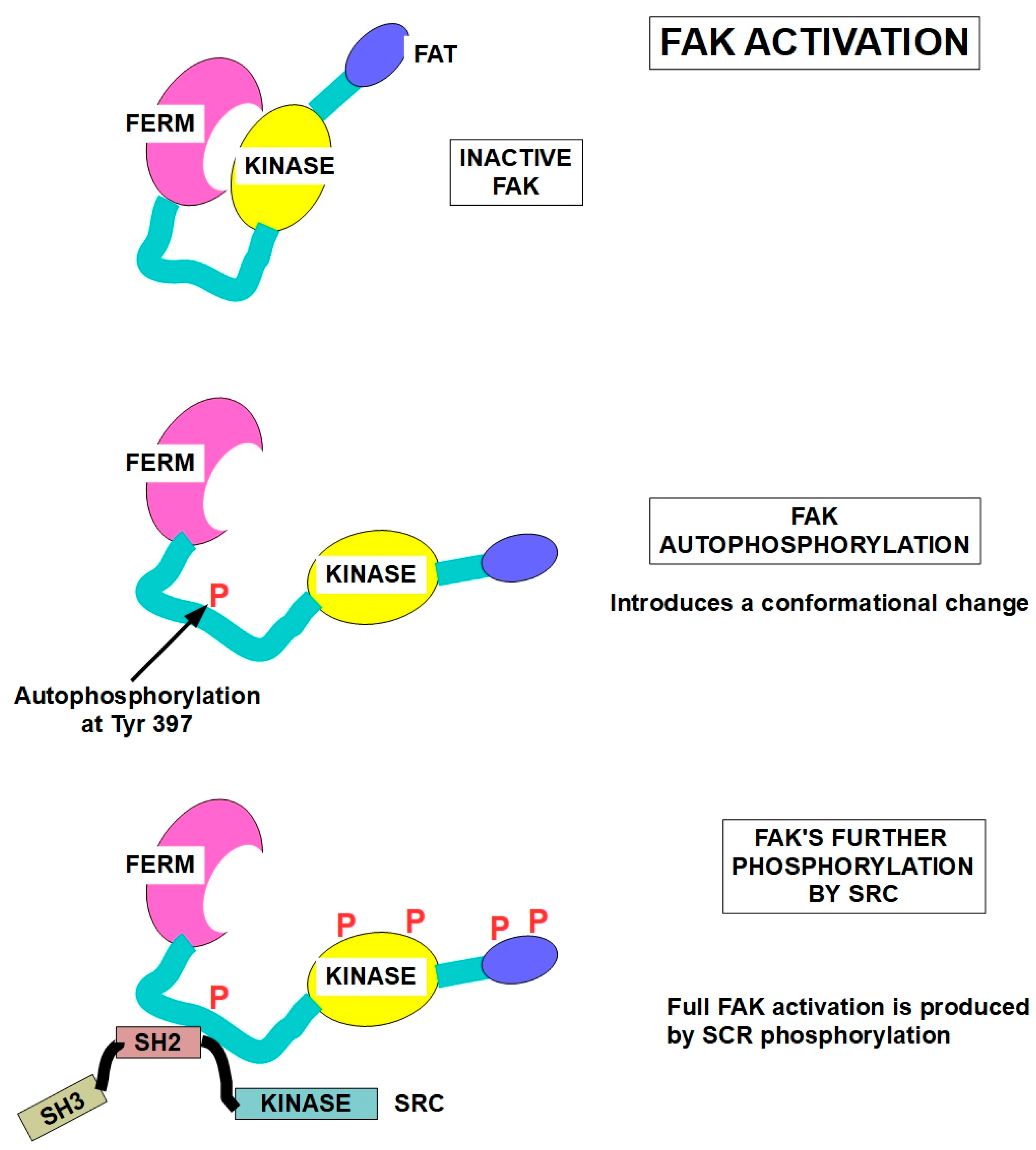 Preprints 186688 g003