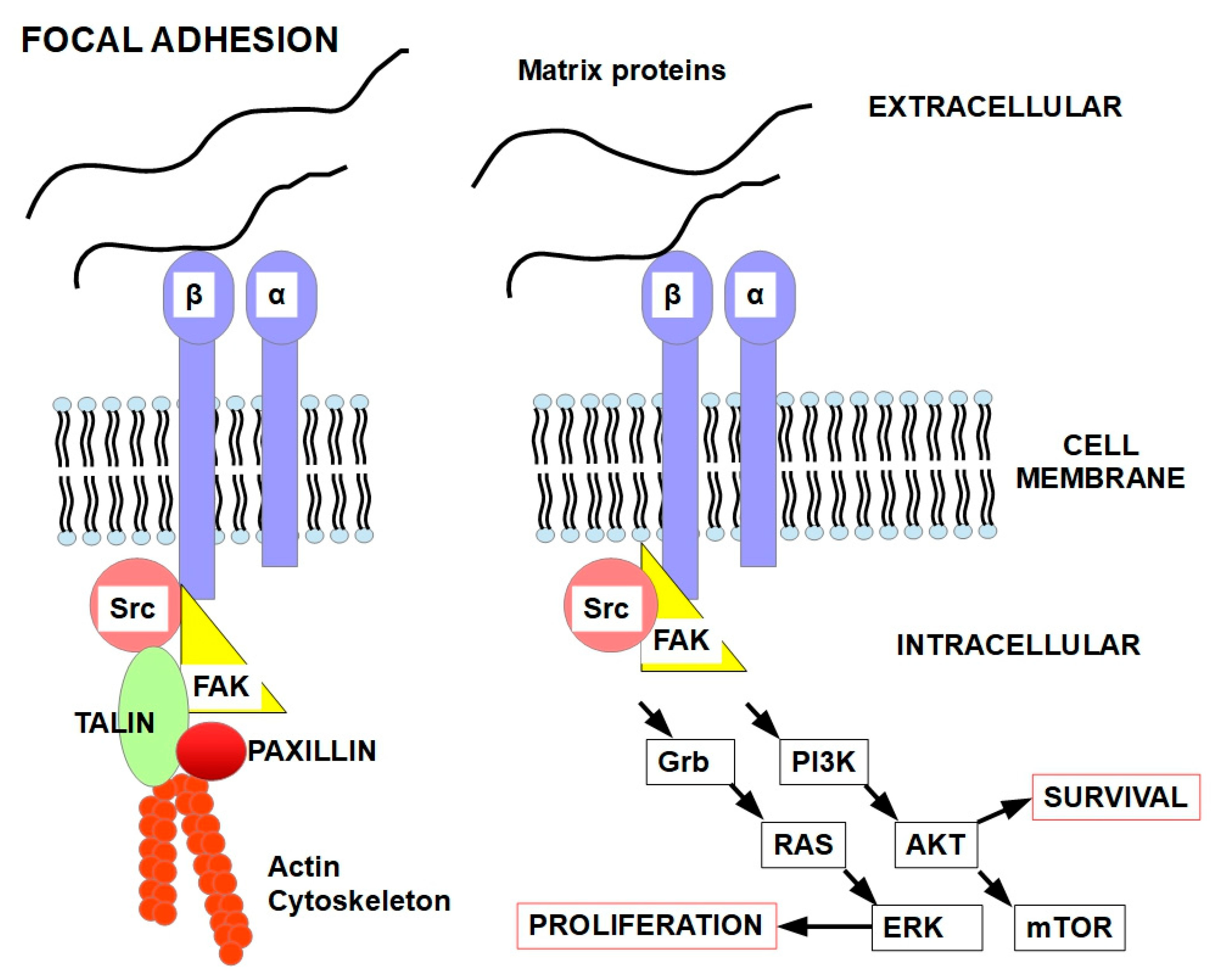 Preprints 186688 g004