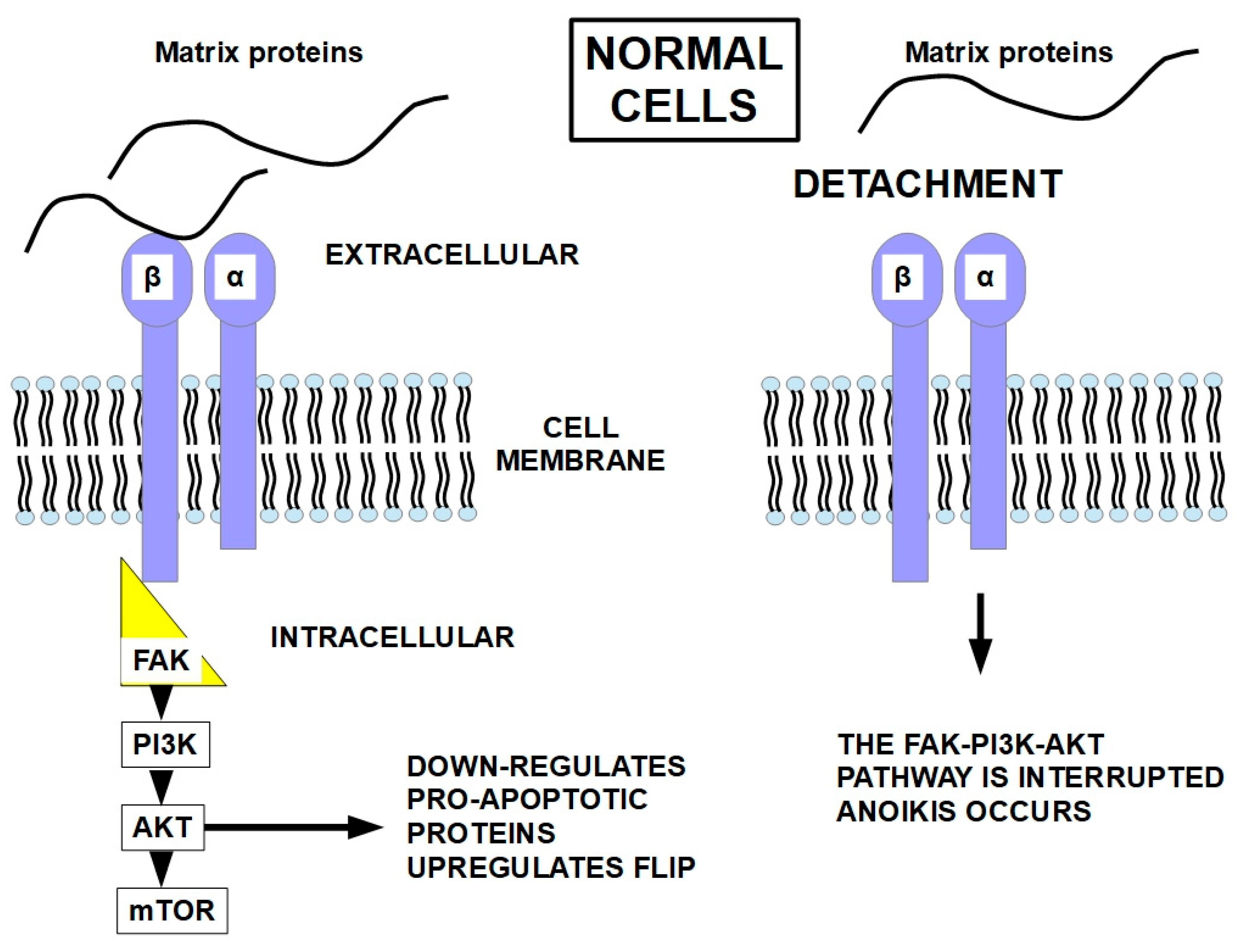 Preprints 186688 g007