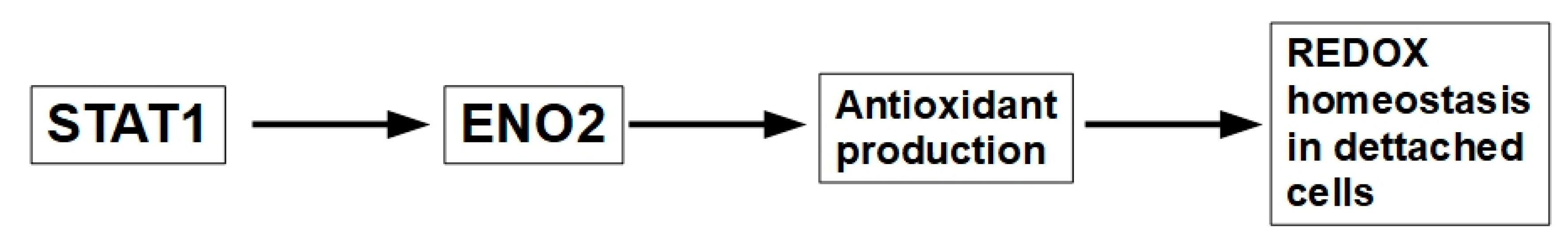 Preprints 186688 g009
