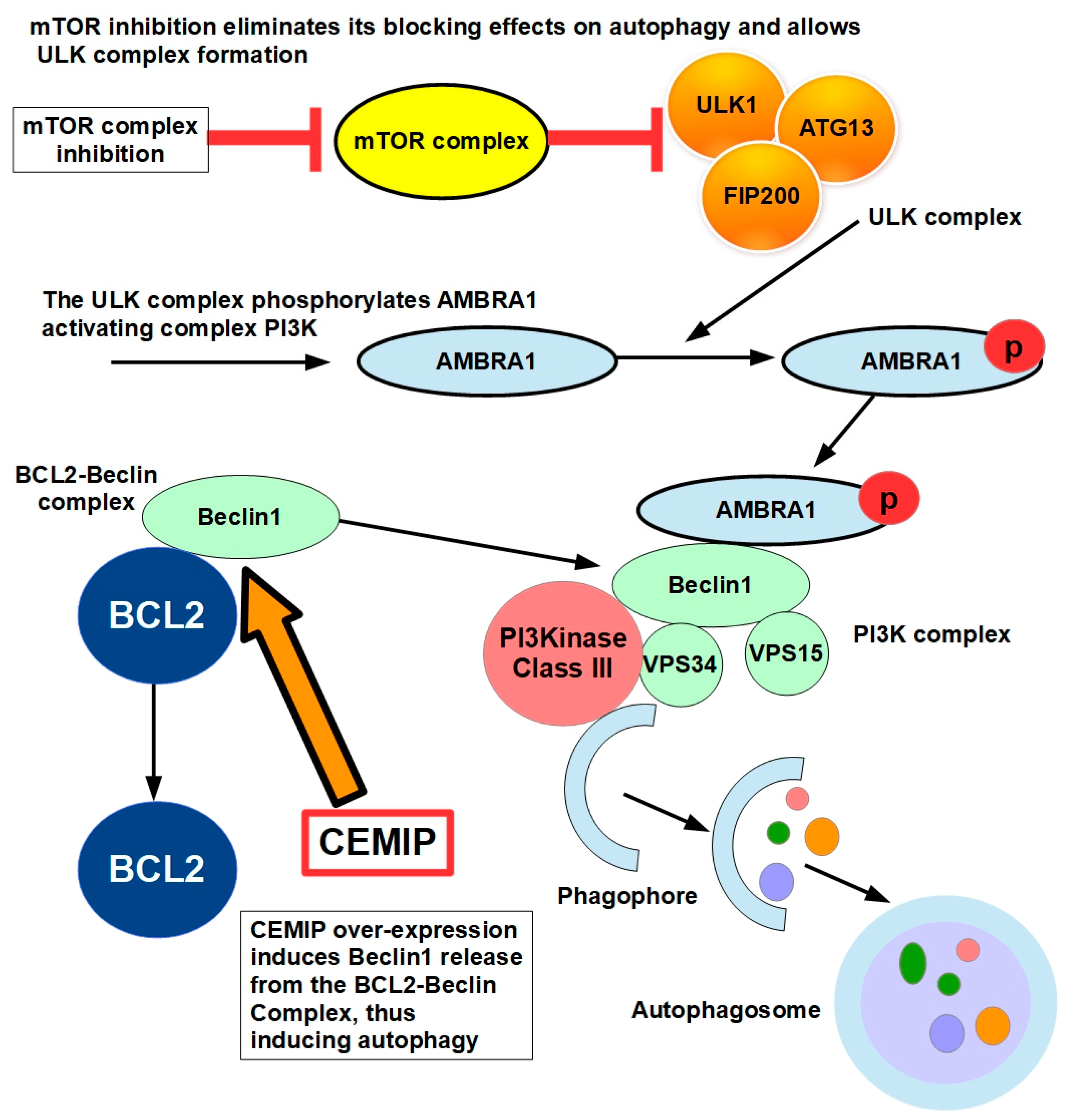 Preprints 186688 g010